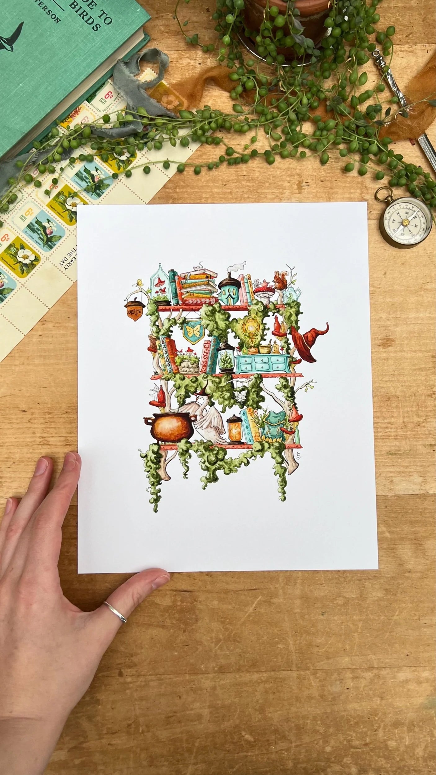 The Fairy Witch's Shelves Giclée Print