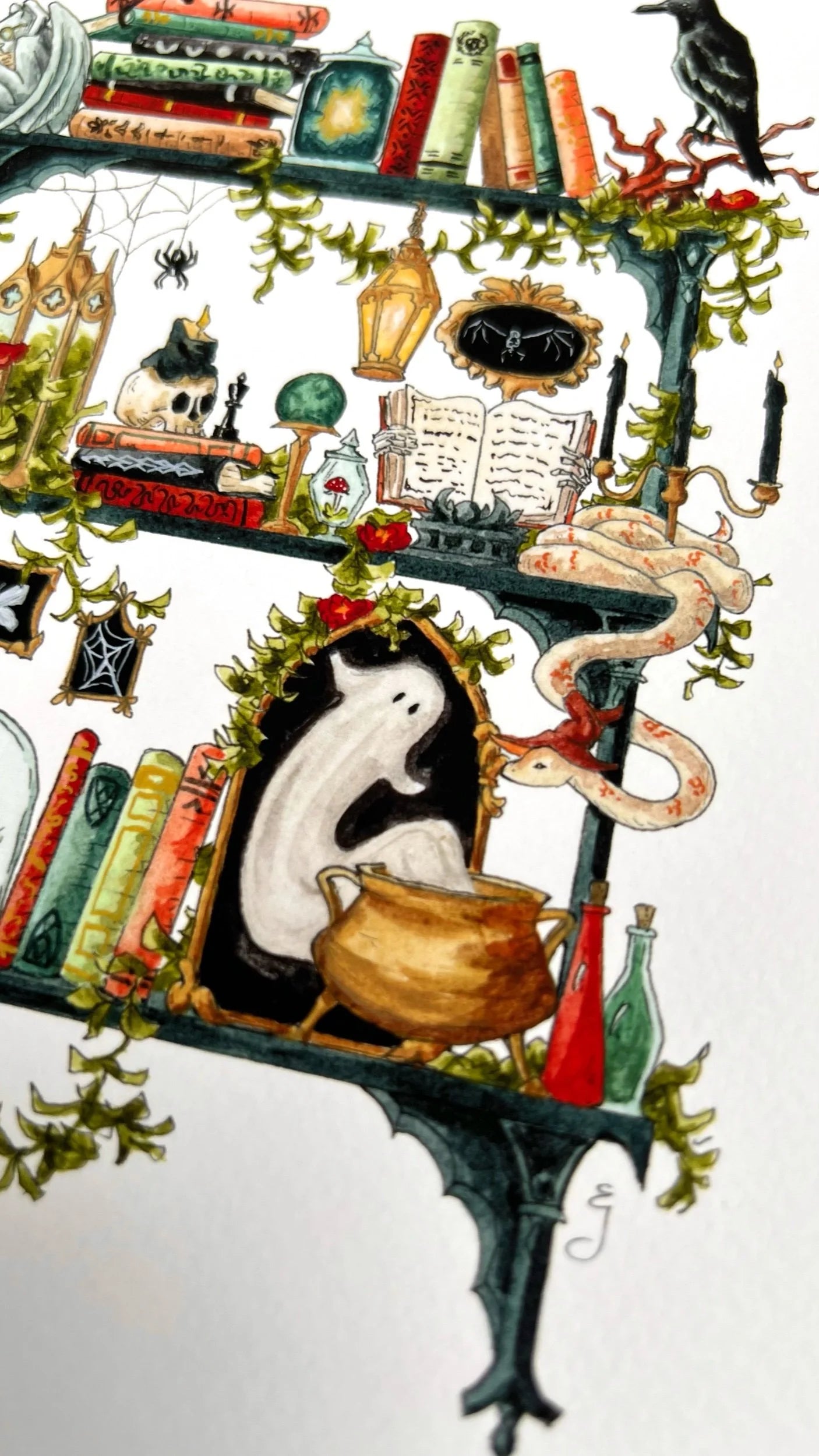 The Gothic Witch's Shelves Giclée Print