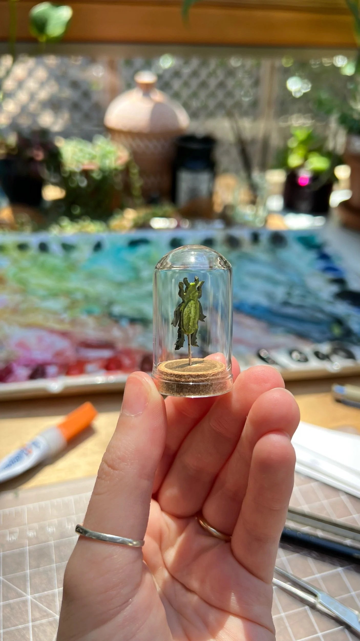 Jewel Scarab Beetle Dome