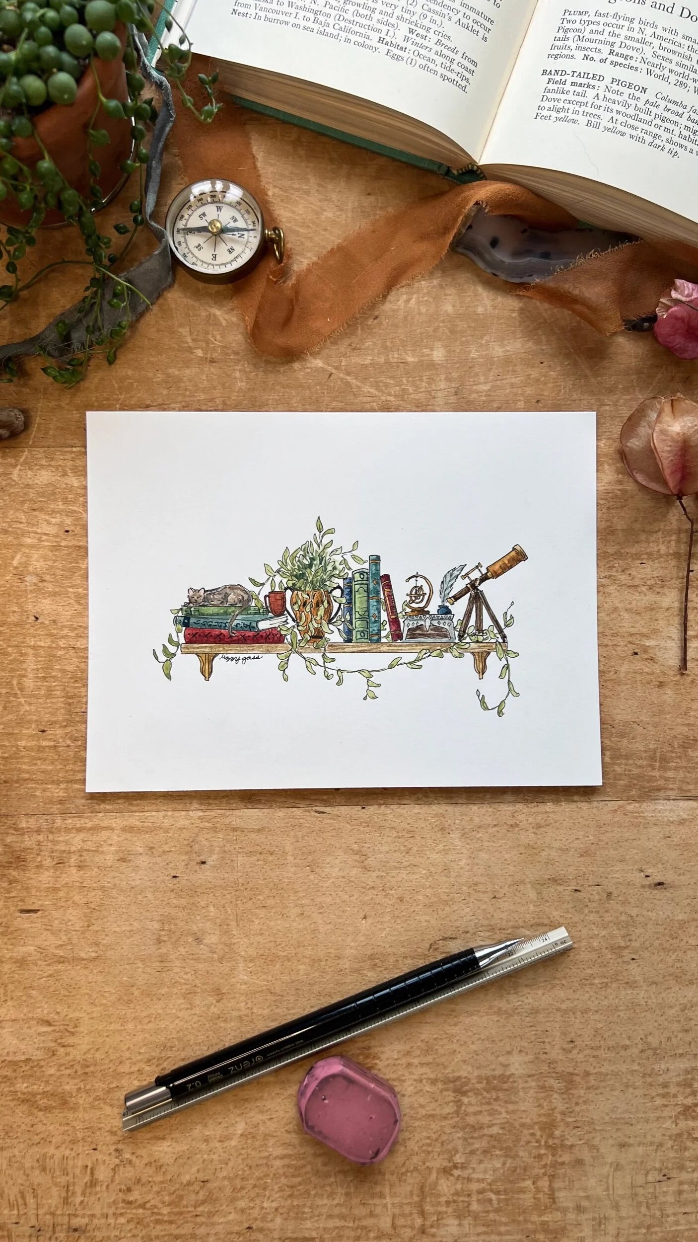 Framed Original Mini Astronomer's Shelf Illustration