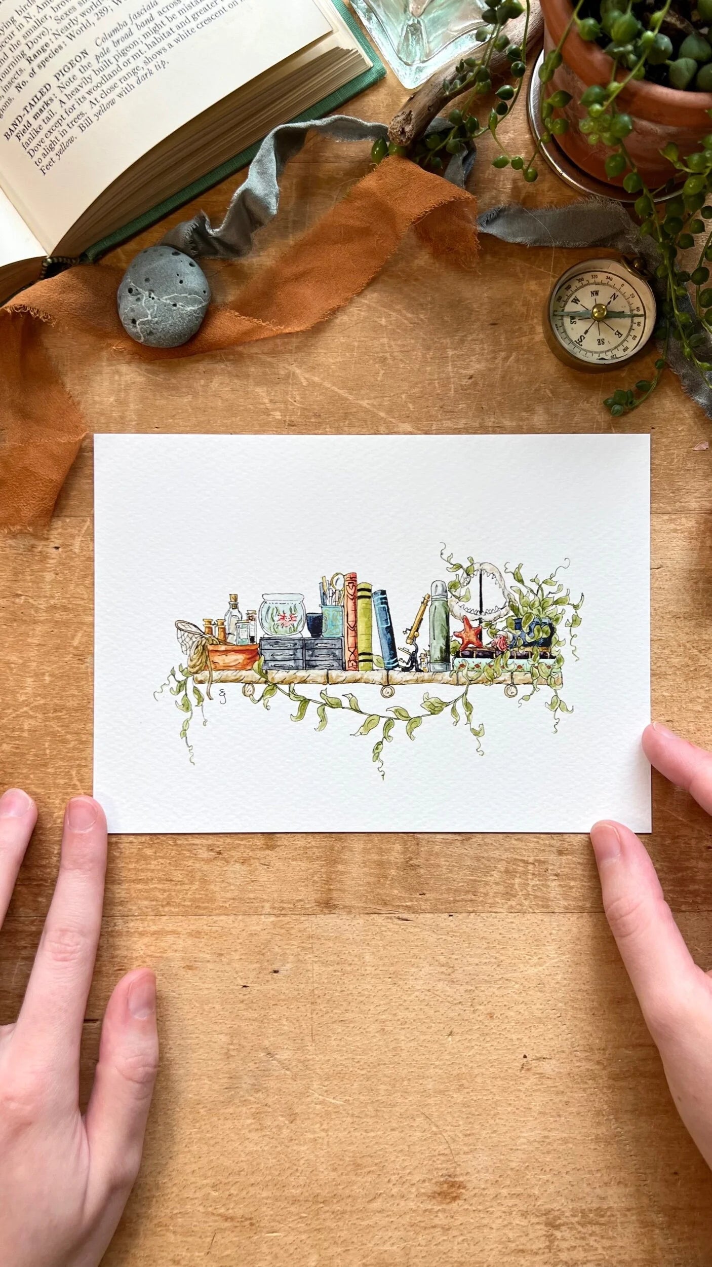 The Mini Marine Biologist's Shelf Giclée Print