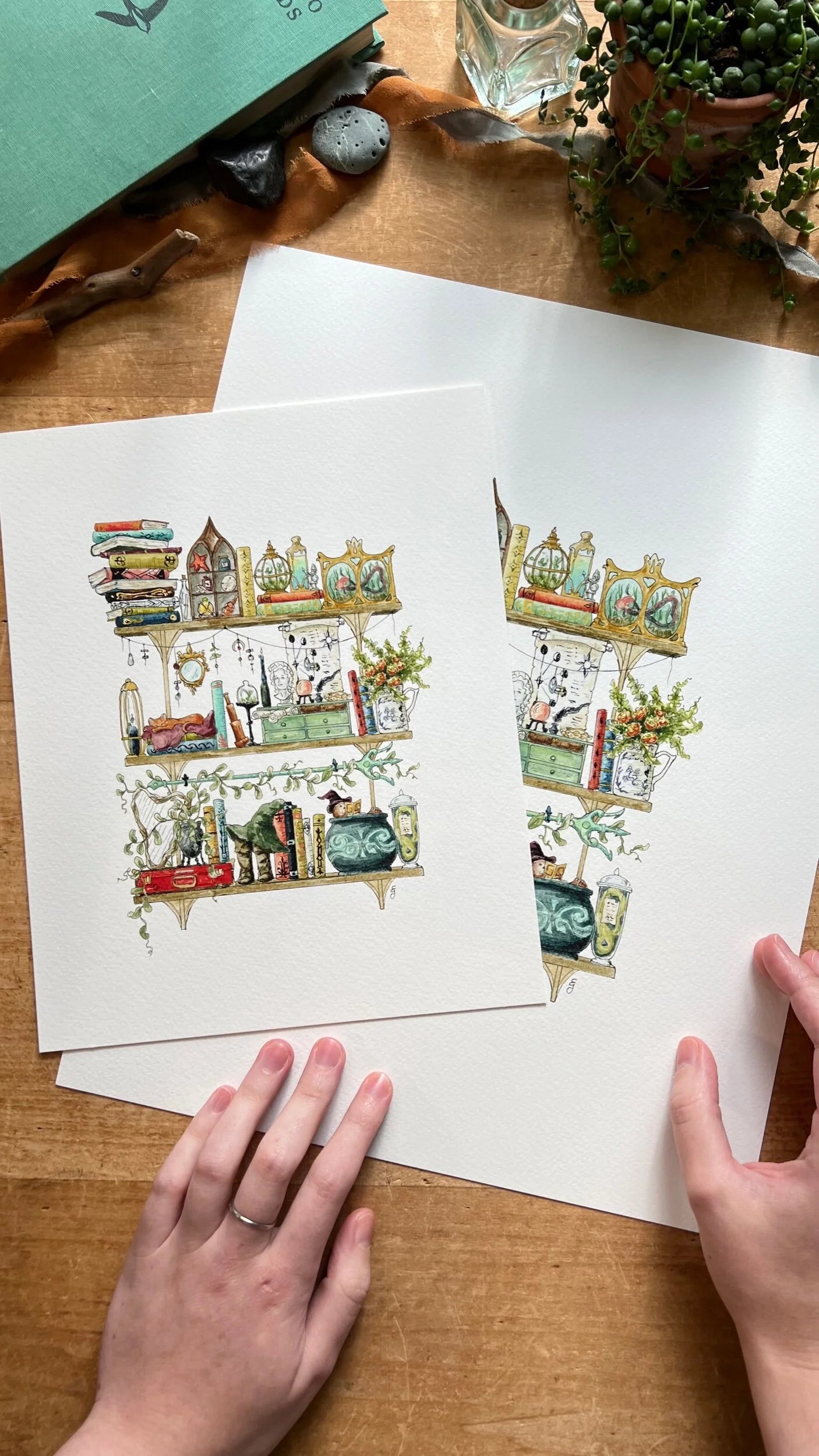 The Sea Witch's Shelves Giclée Print