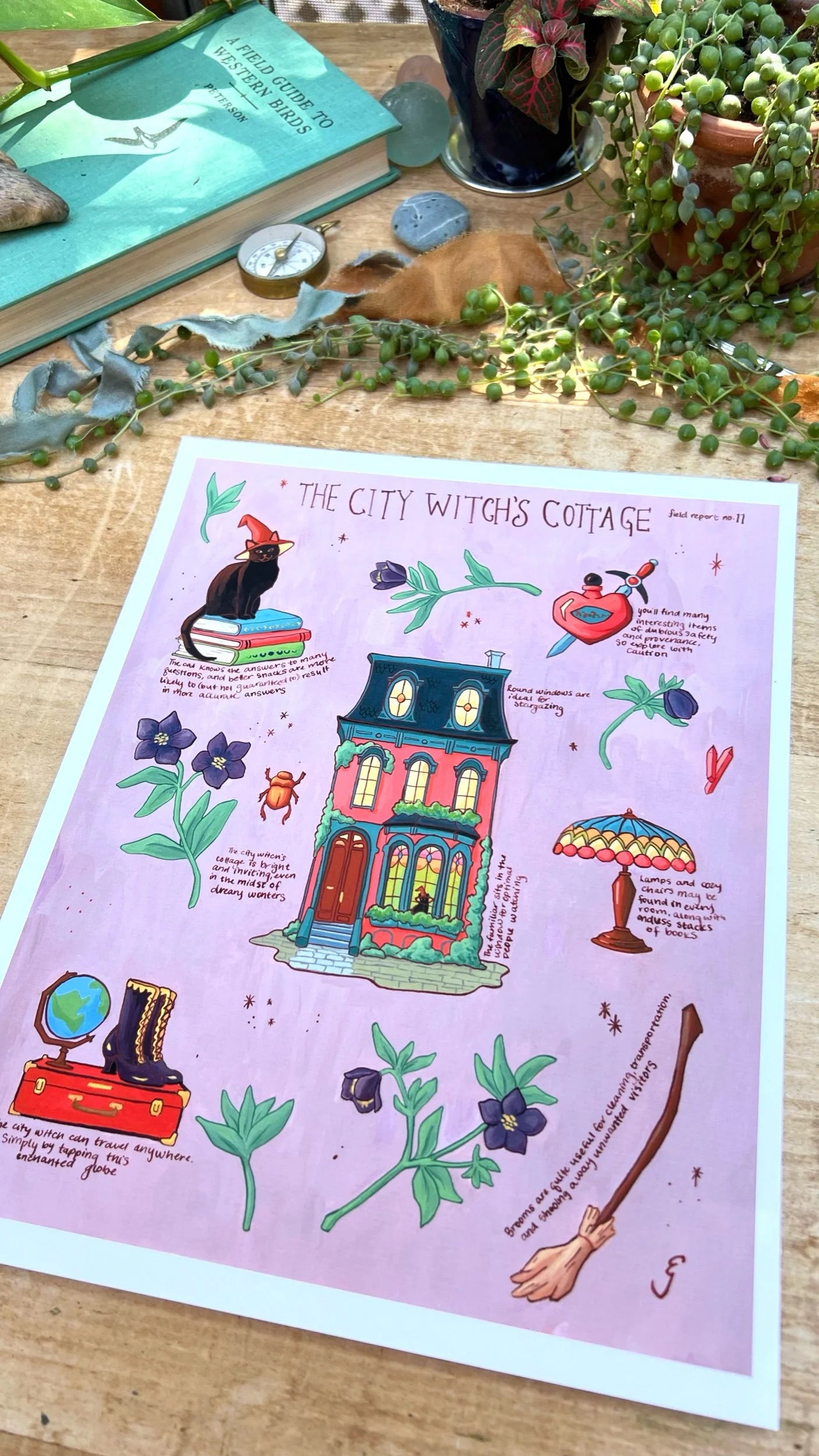 The City Witch's Cottage Field Report Giclée Print