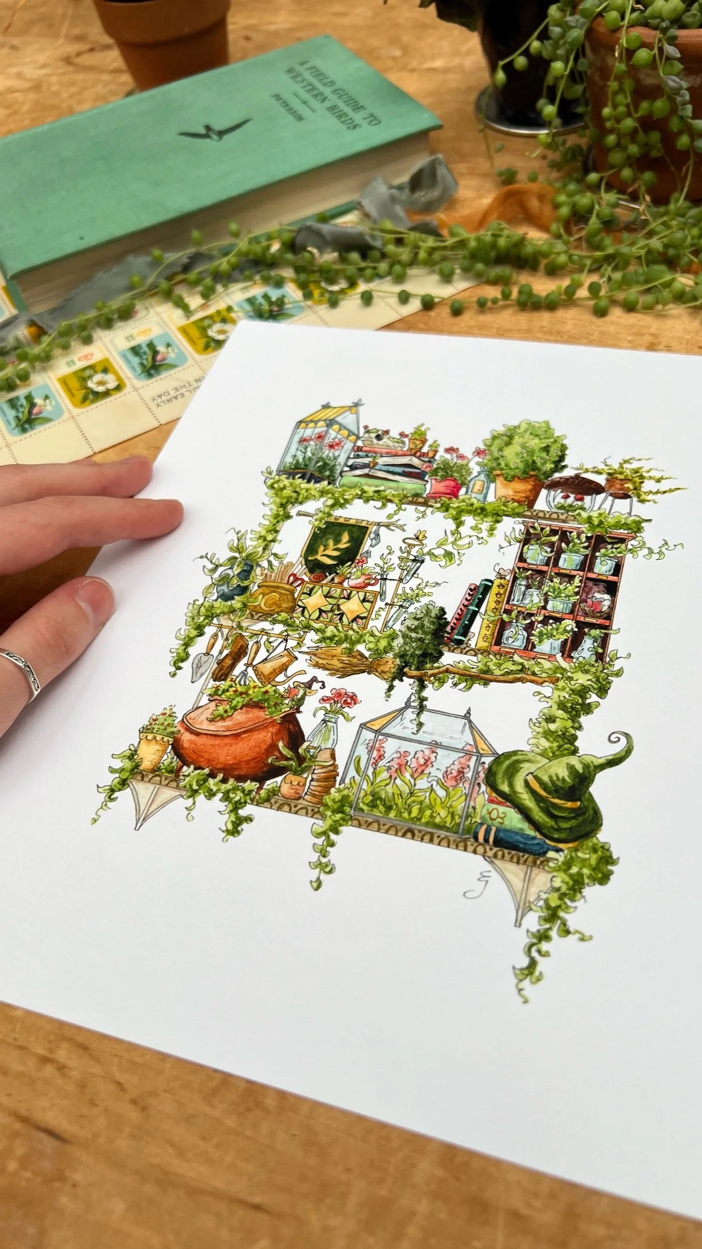 The Garden Witch's Shelves Giclée Print