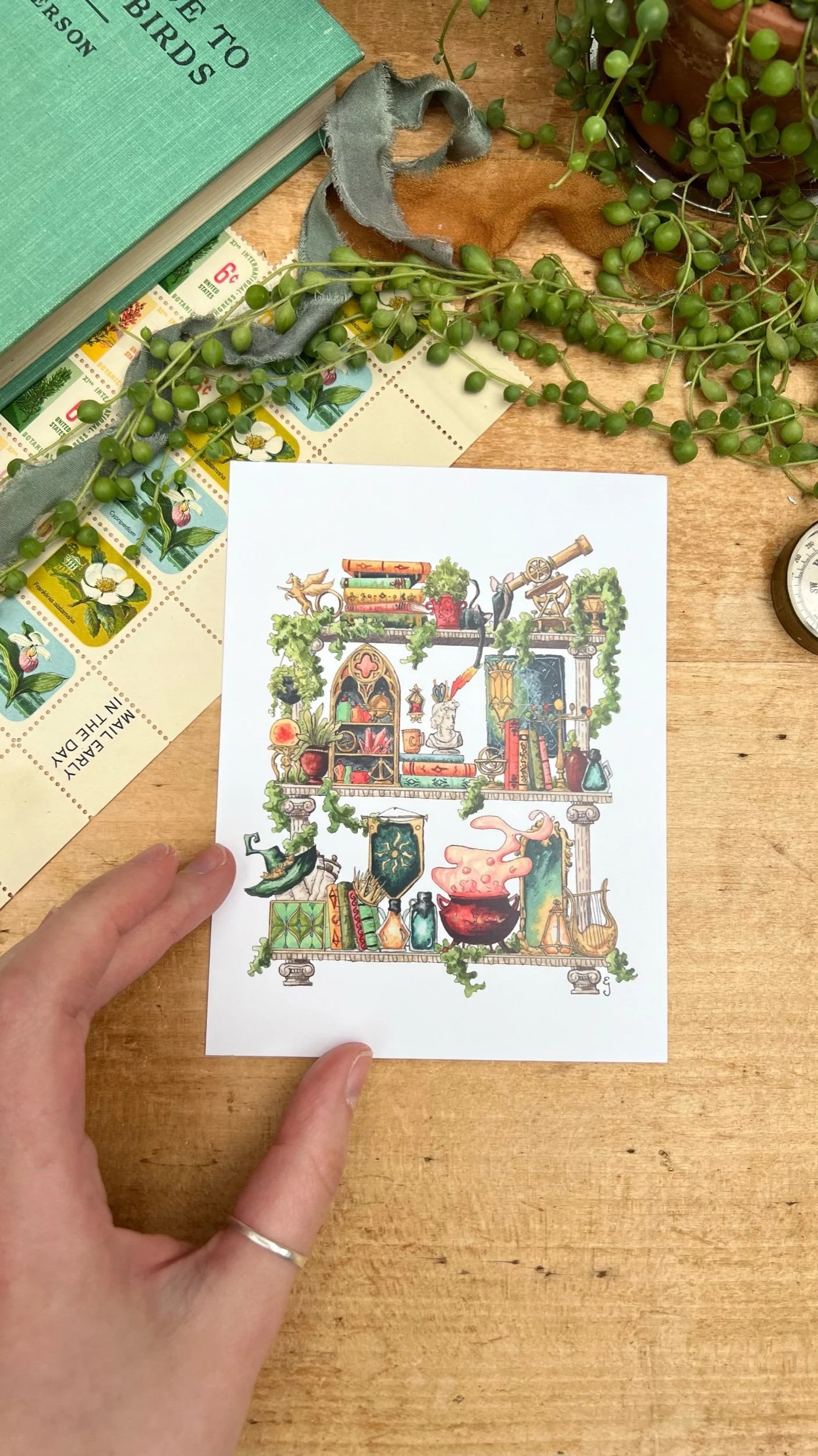 The Celestial Witch's Shelves Postcard