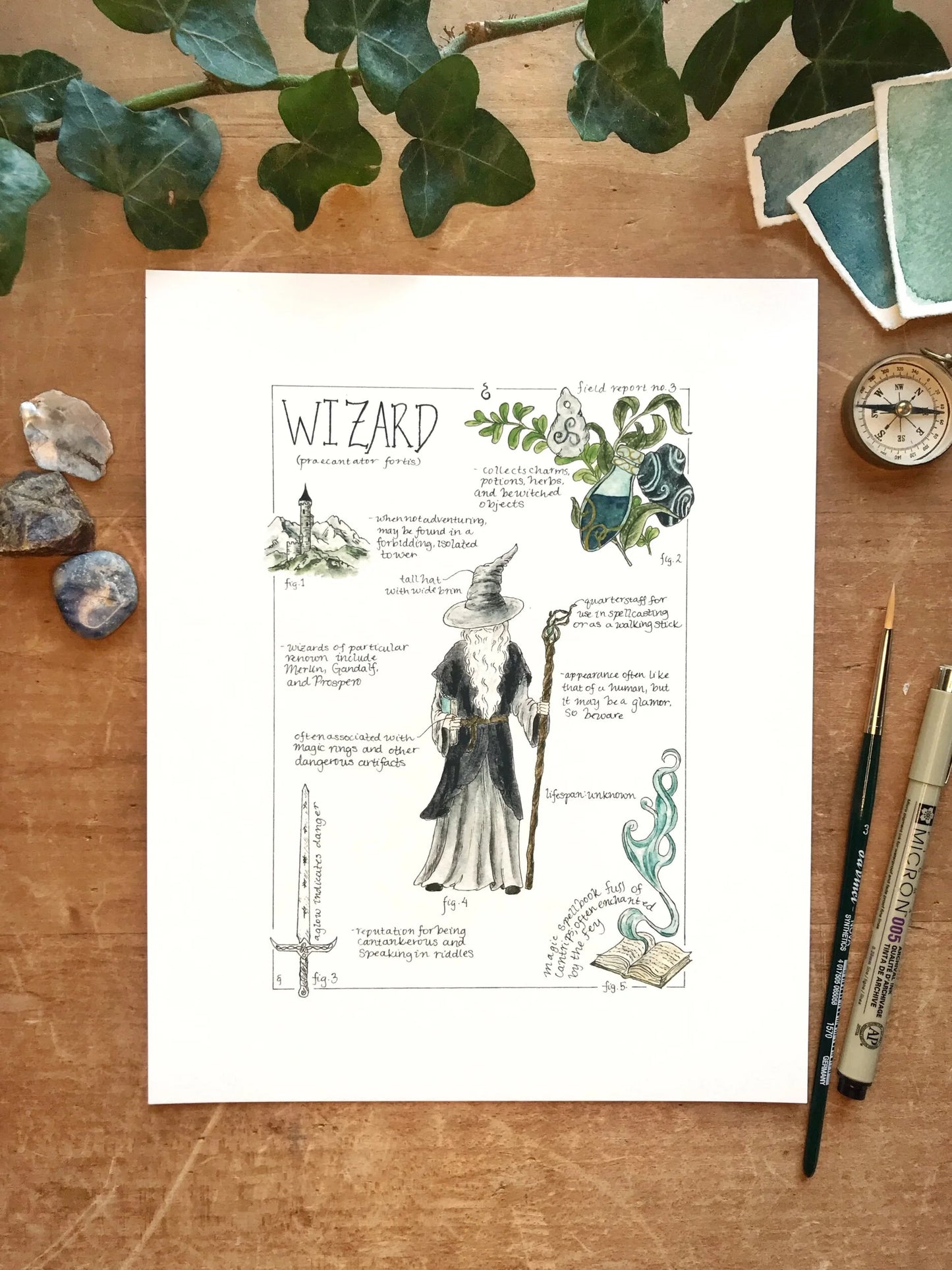 Wizard Field Report Giclée Print