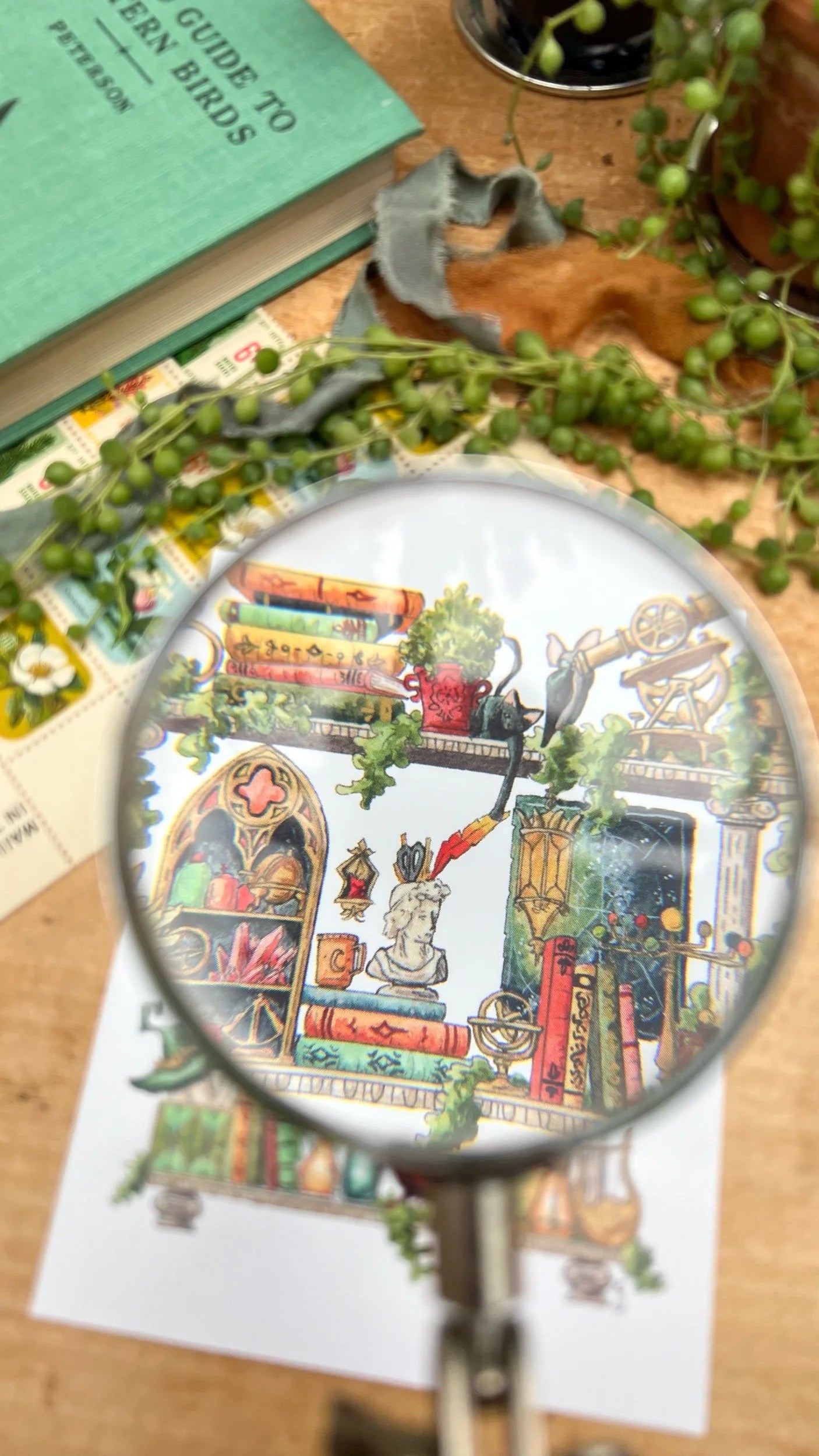 The Celestial Witch's Shelves Postcard