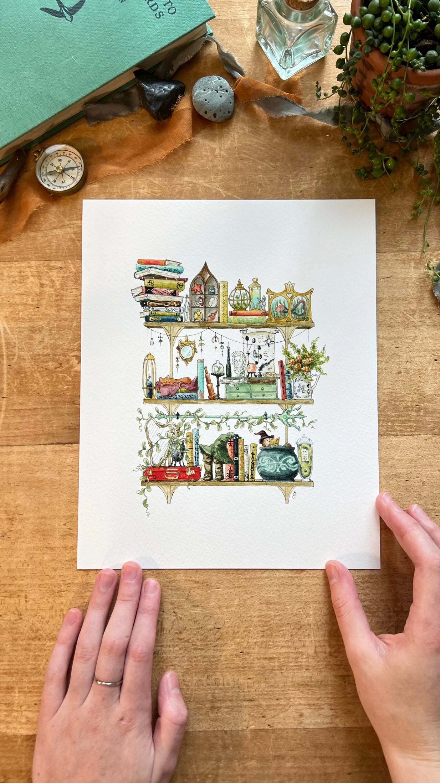 Witches Shelves Giclée Print Bundle, Vol. 1