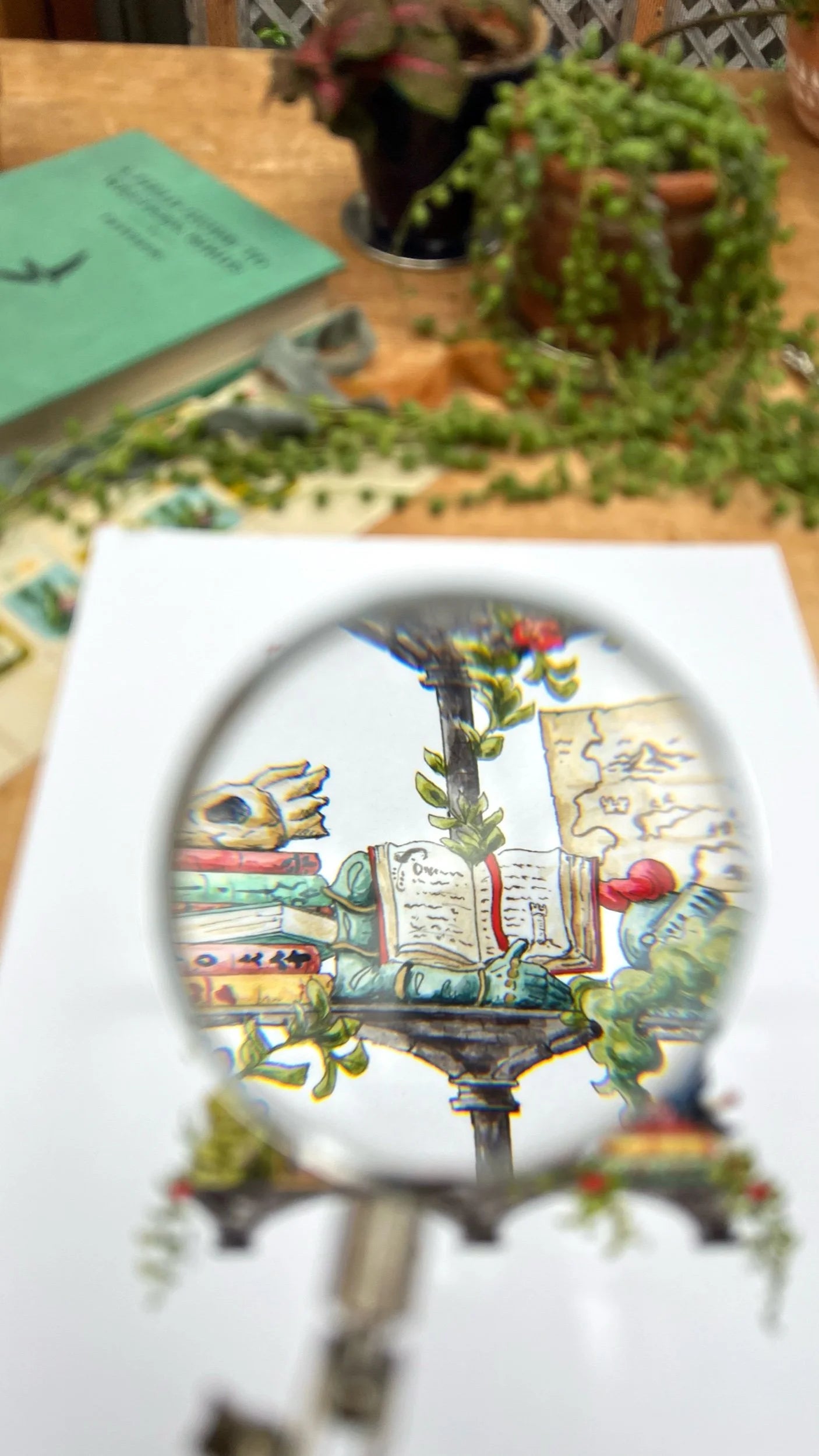 The Storybook Witch's Shelves Giclée Print