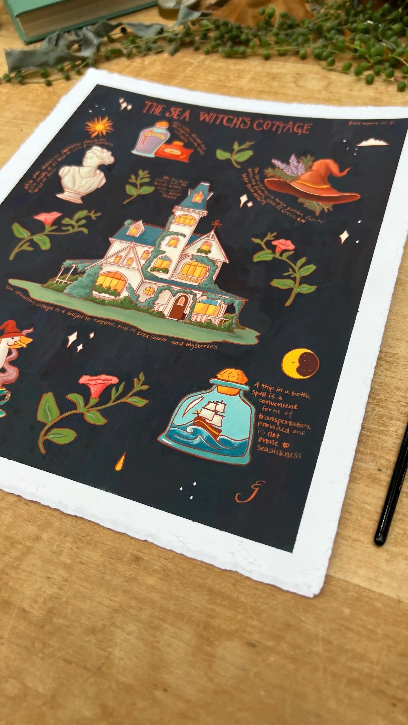 Original Sea Witch's Cottage Field Report