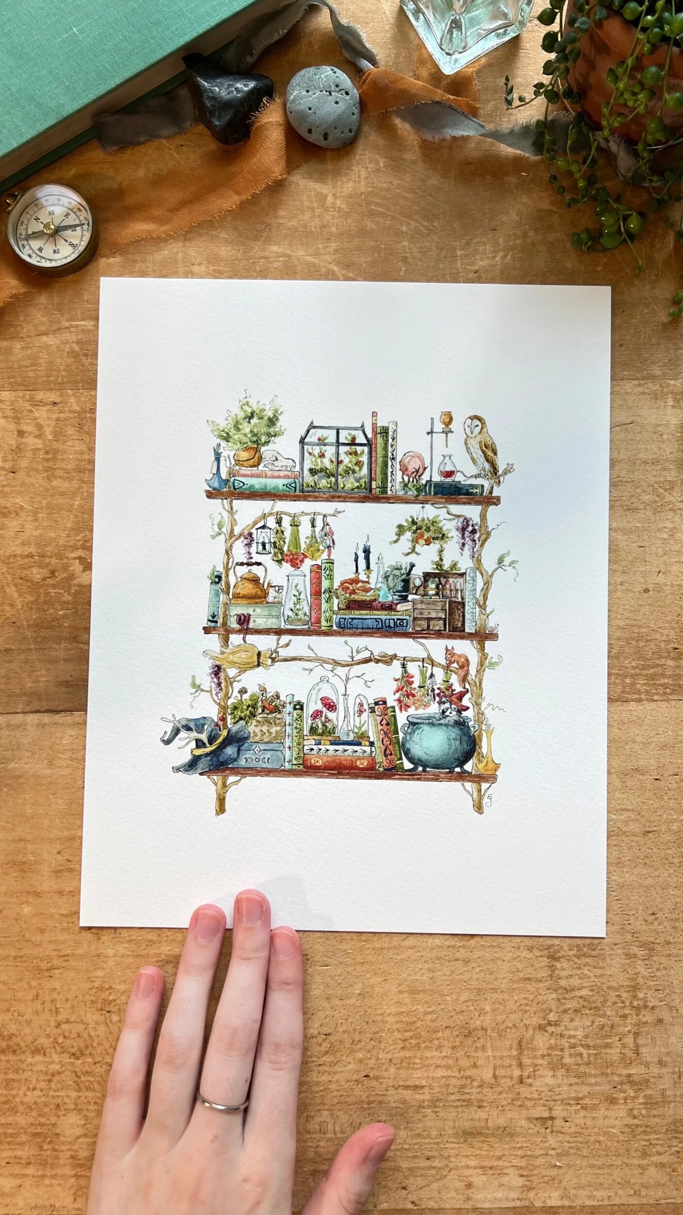 The Forest Witch's Shelves Giclée Print