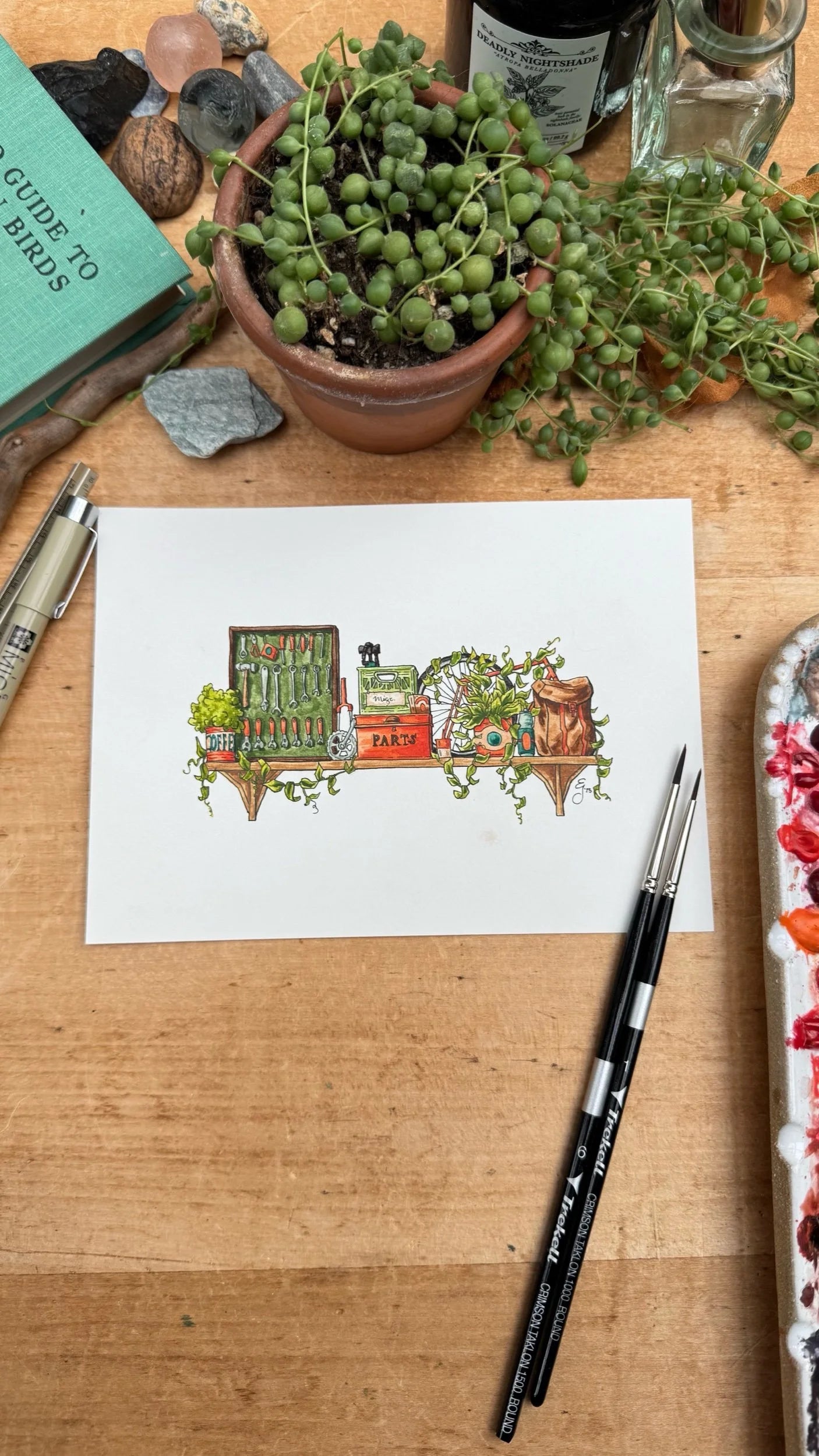 Original Mini Cyclist's Shelf Illustration