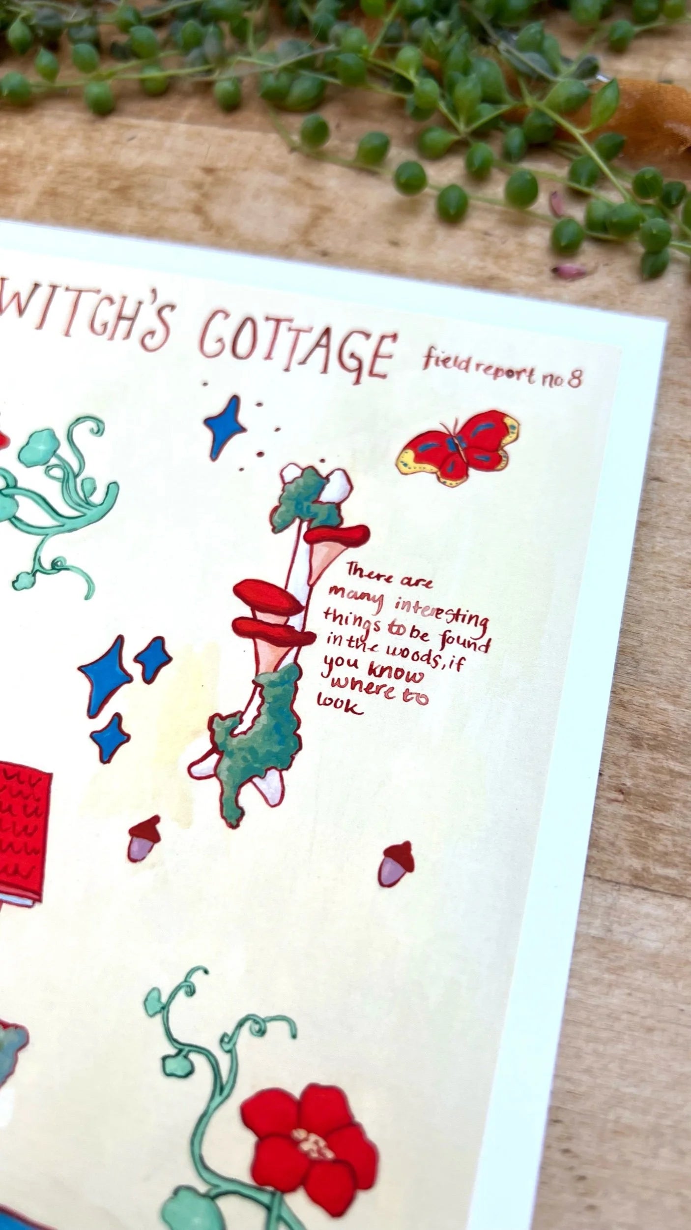 The Lake Witch's Cottage Field Report Giclée Print