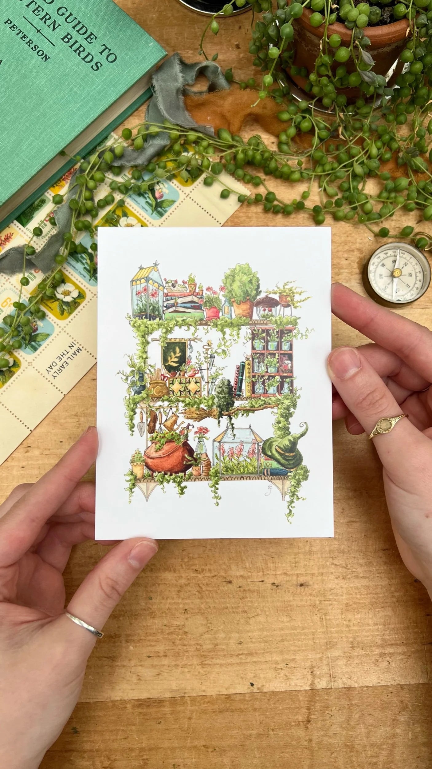 Witches Postcards Vol. 2