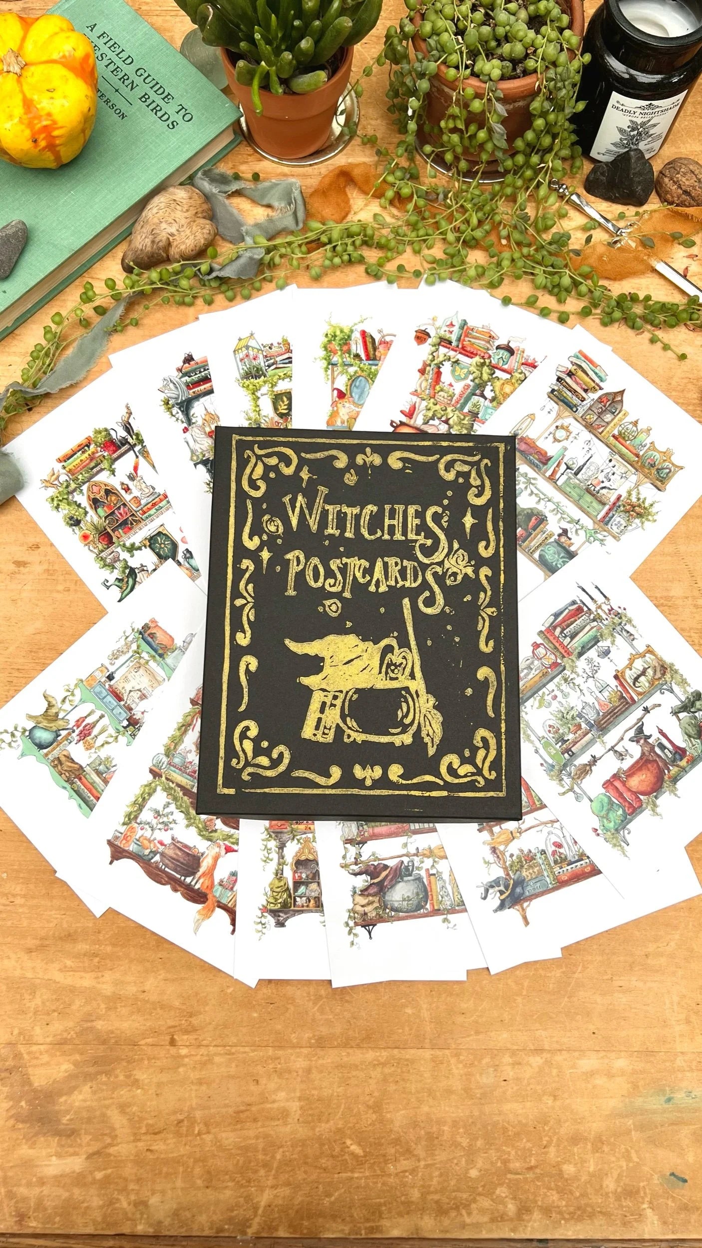 Witches Postcards Box Set
