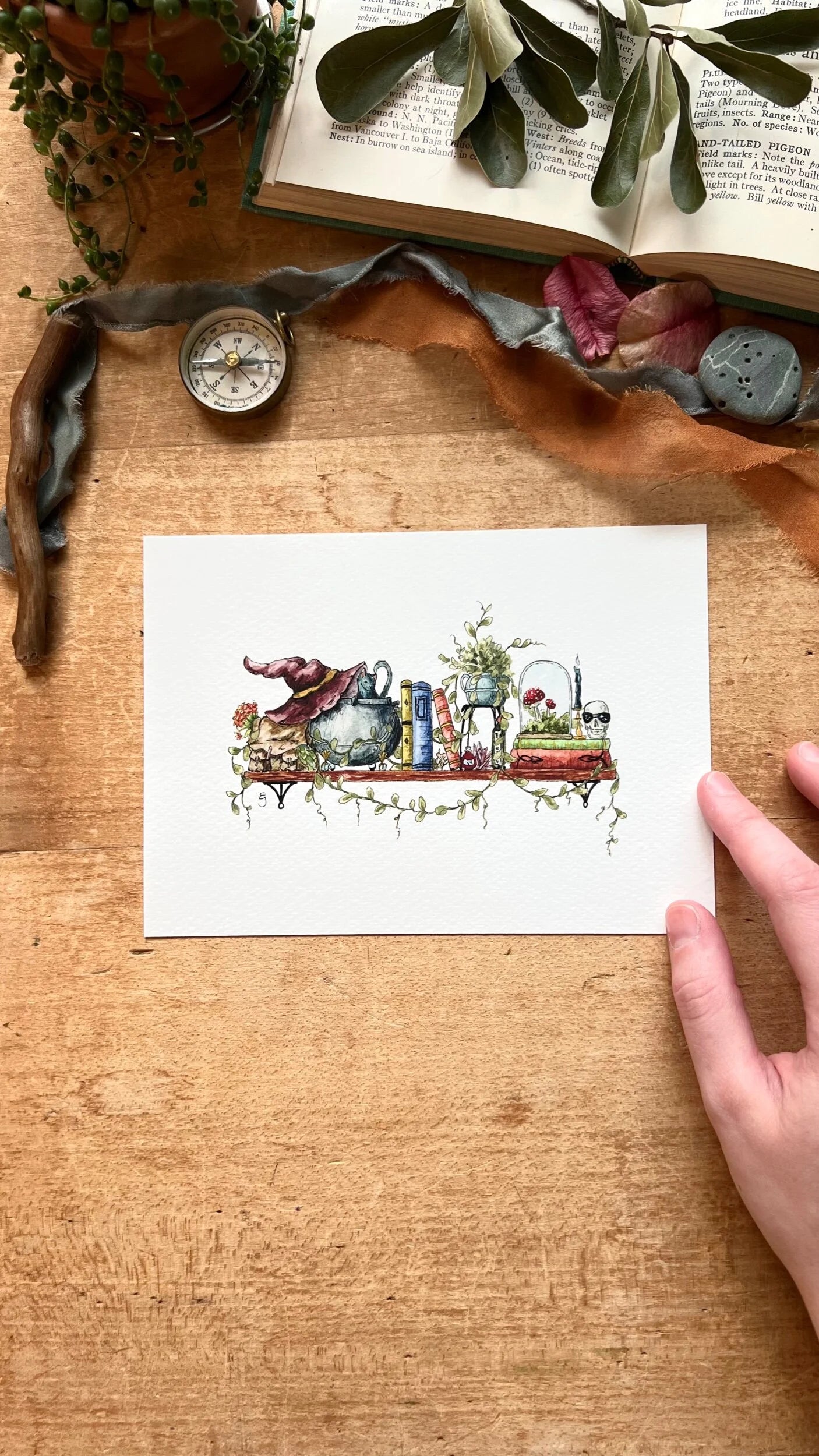 Mini Witches Shelves Giclée Print Bundle, Vol. 1