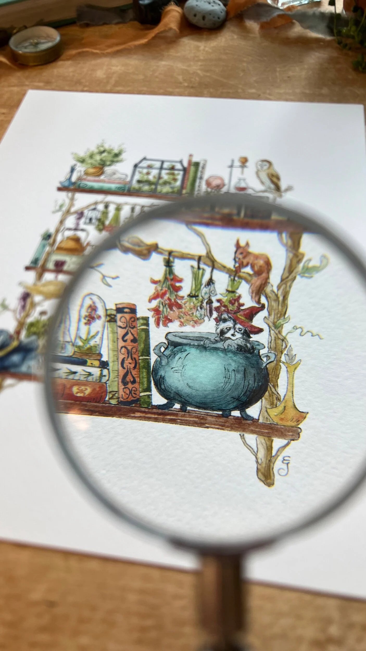 The Forest Witch's Shelves Giclée Print