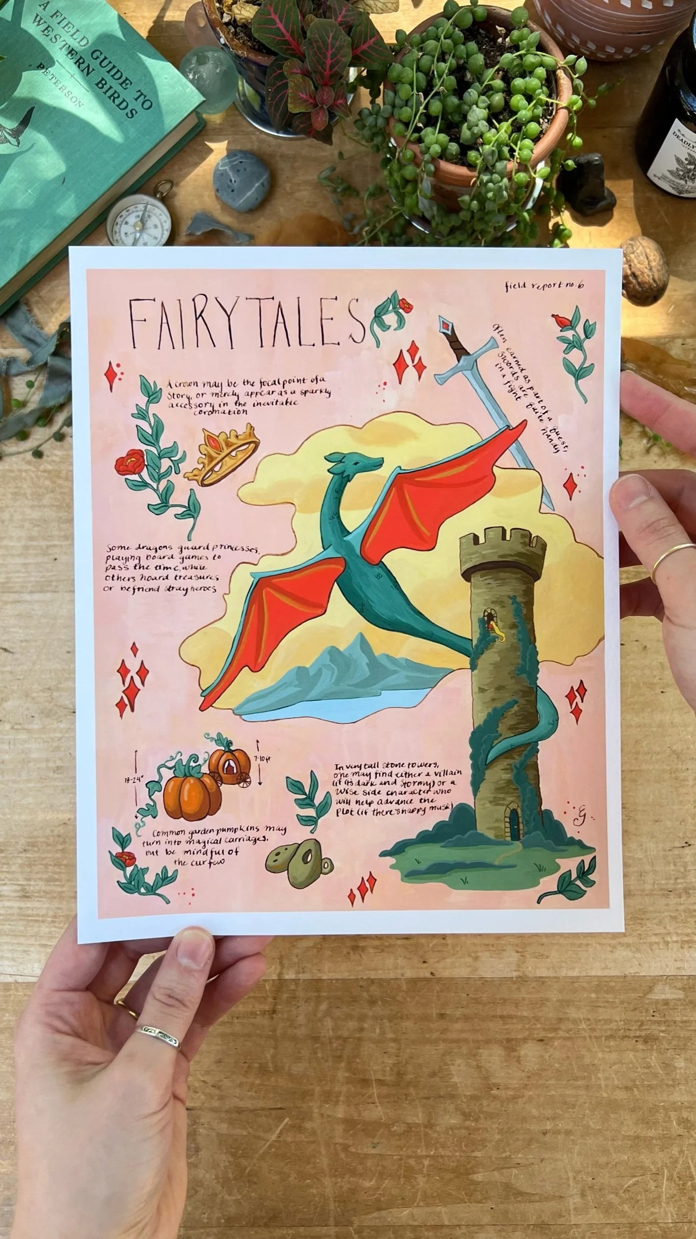 Fairytales Field Report Giclée Print