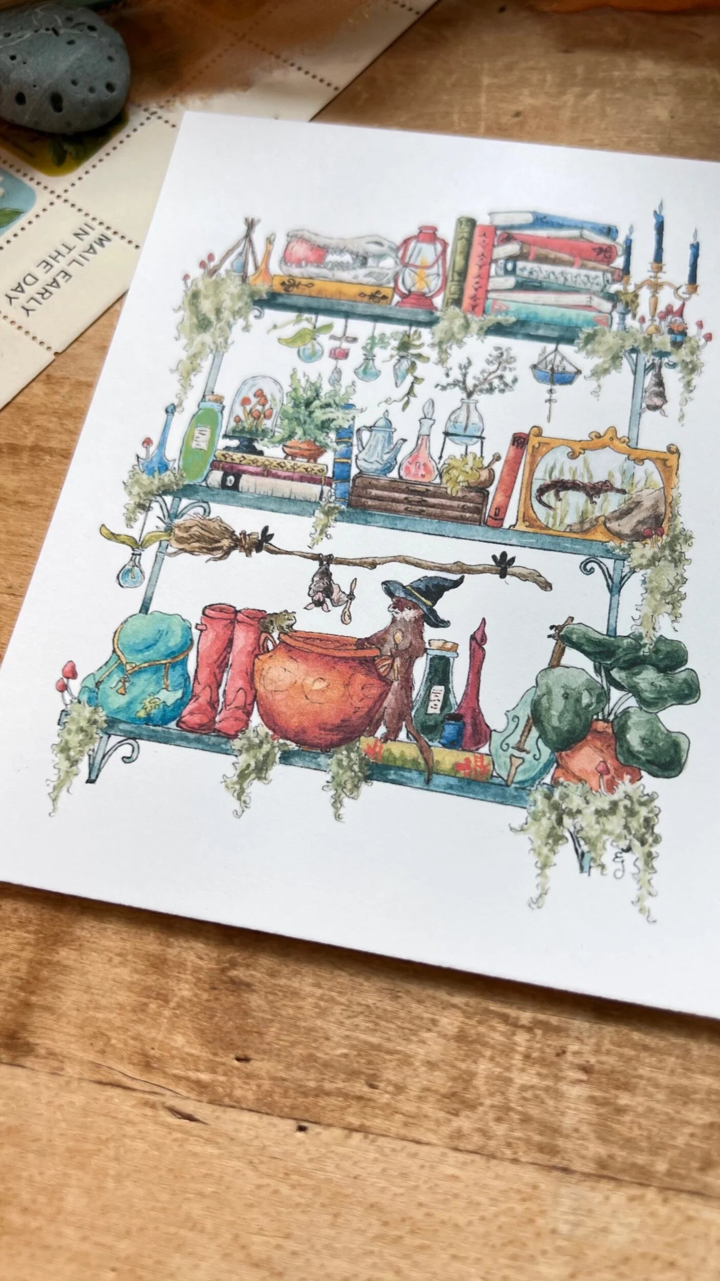 The Swamp Witch's Shelves Postcard