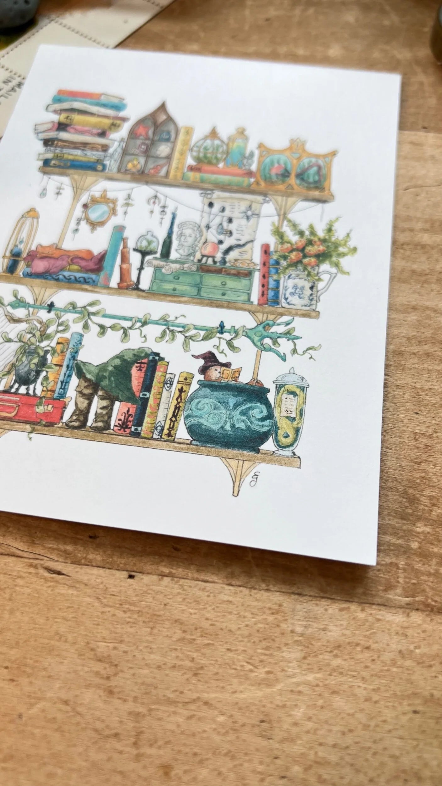The Sea Witch's Shelves Postcard