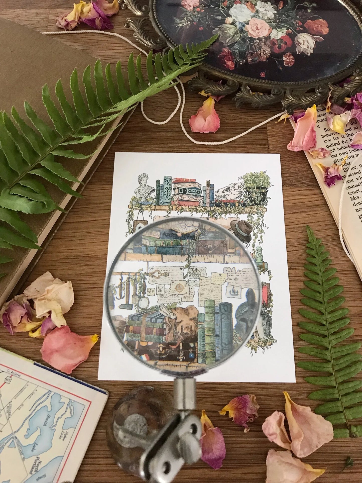 The Archaeologist's Shelves Postcard