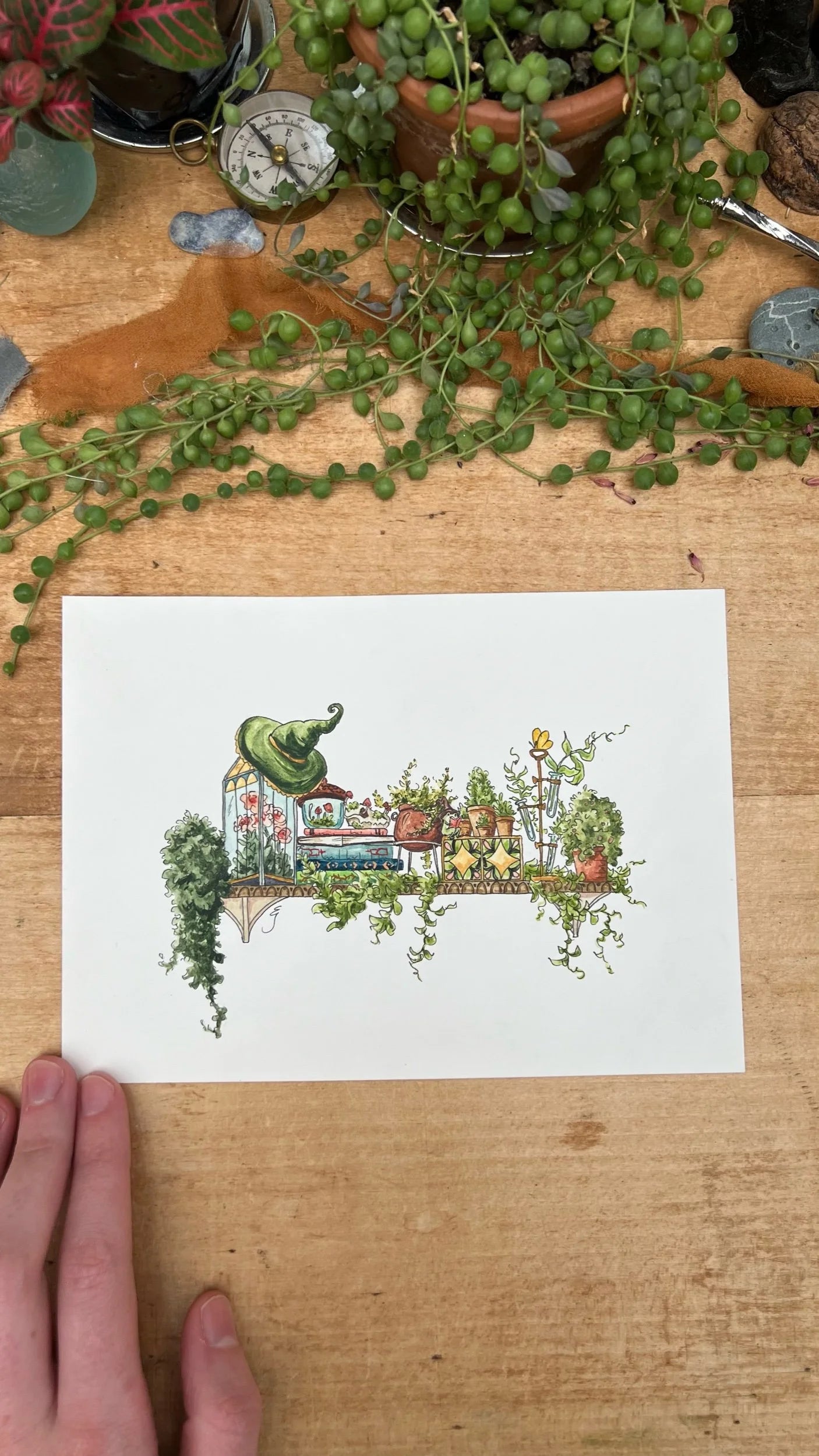 Original Mini Garden Witch's Shelf Illustration