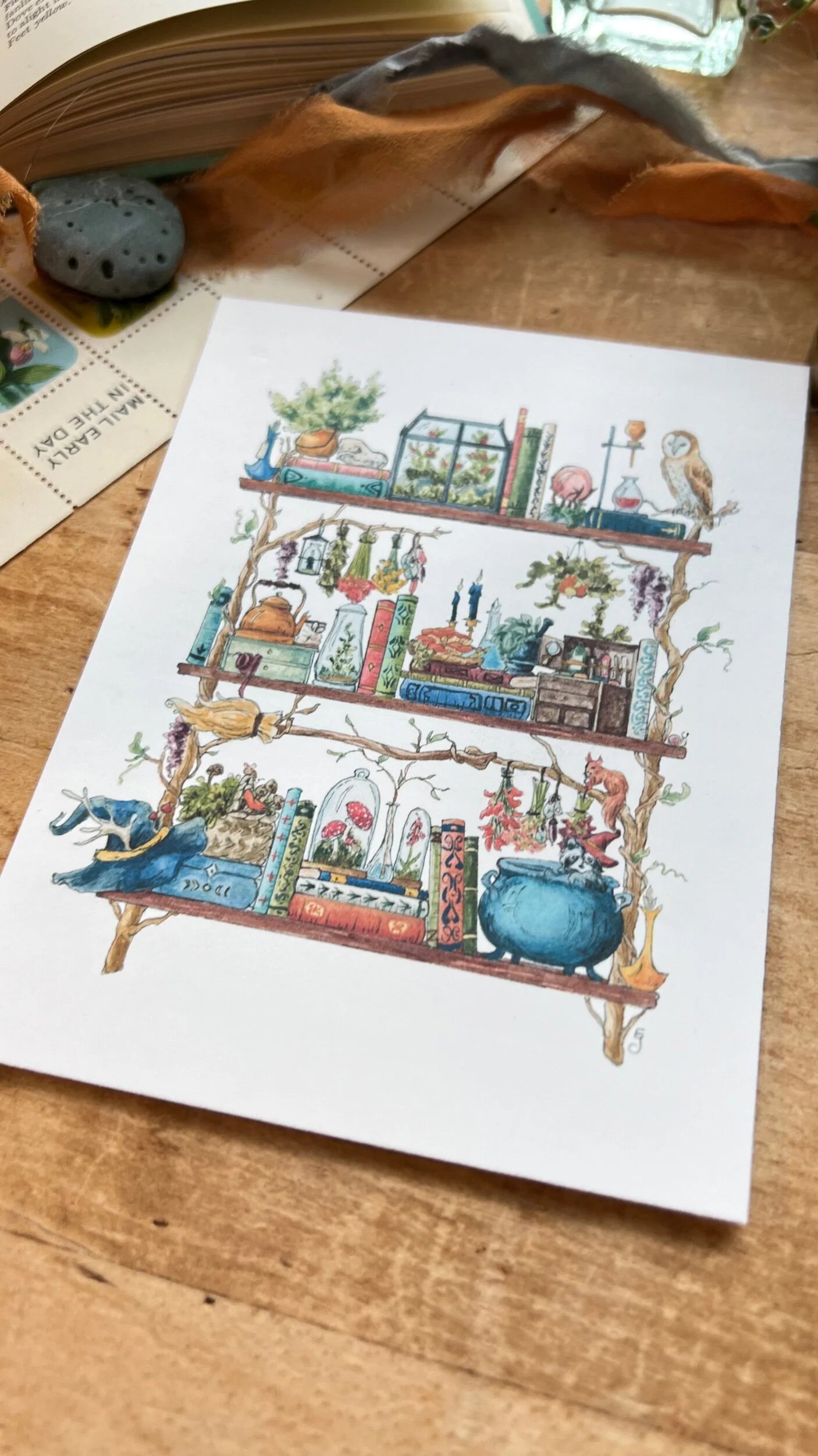 The Forest Witch's Shelves Postcard