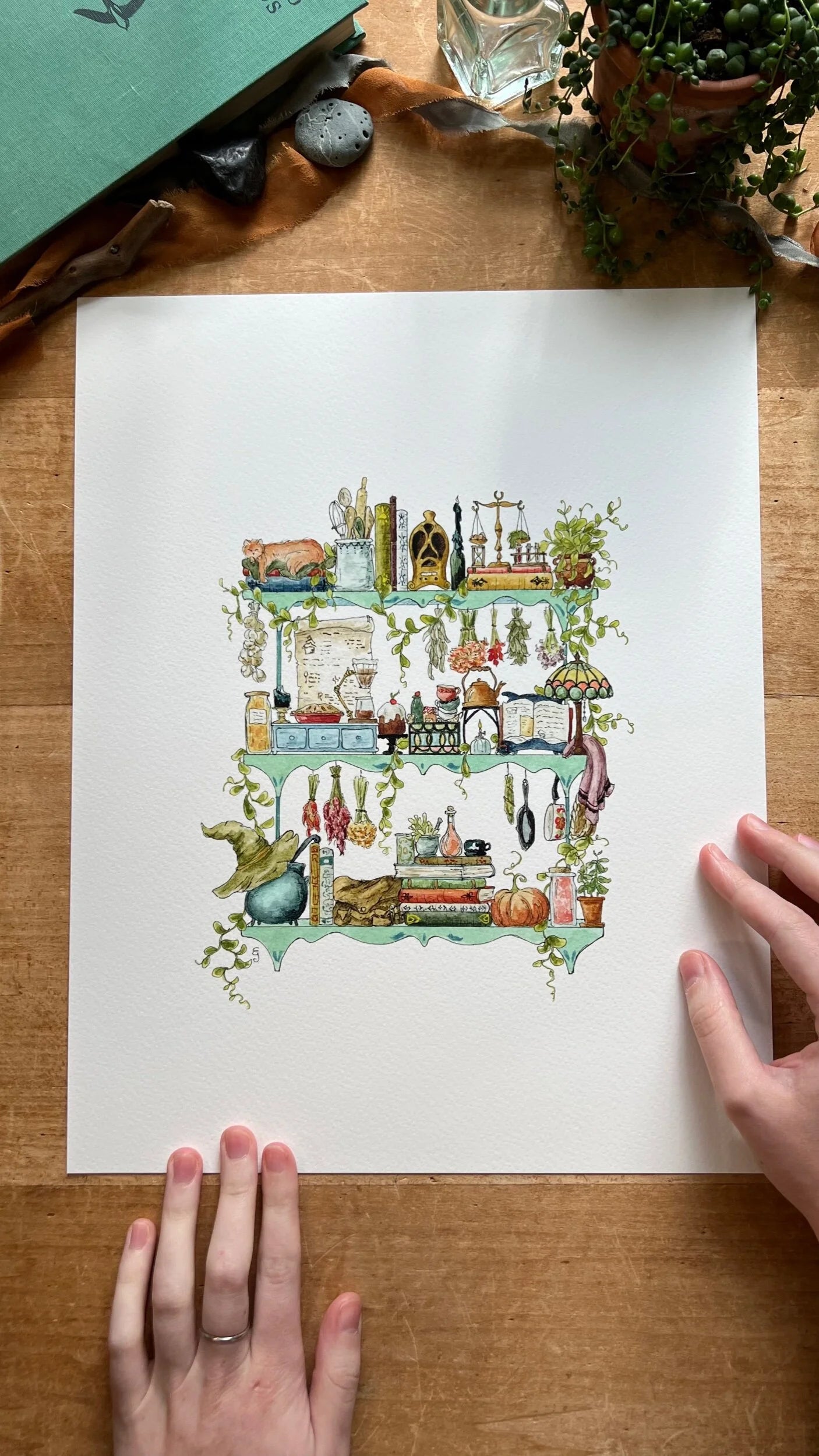 The Kitchen Witch's Shelves Giclée Print
