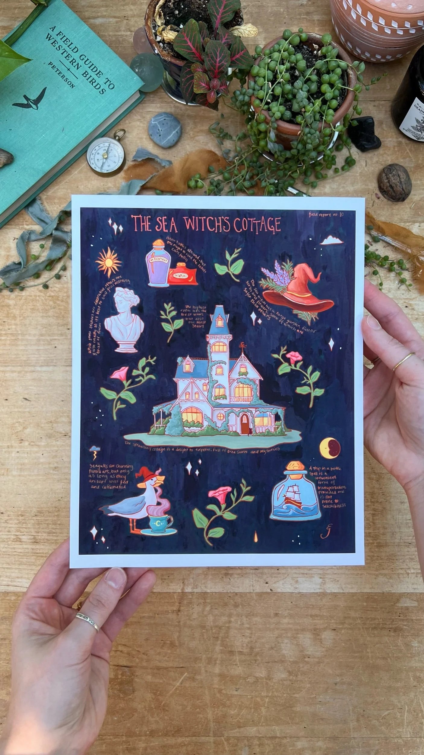The Sea Witch's Cottage Field Report Giclée Print