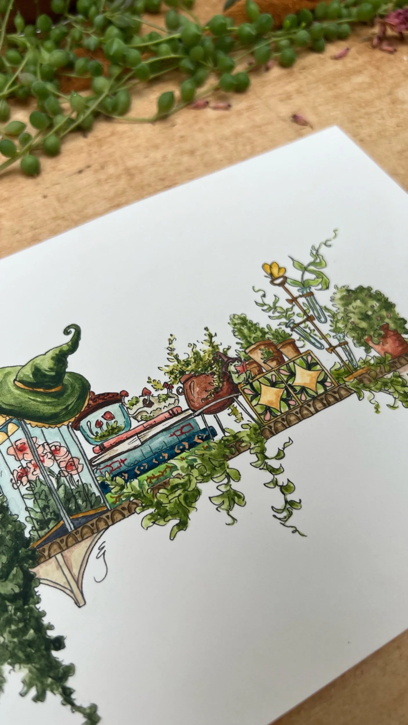 Original Mini Garden Witch's Shelf Illustration