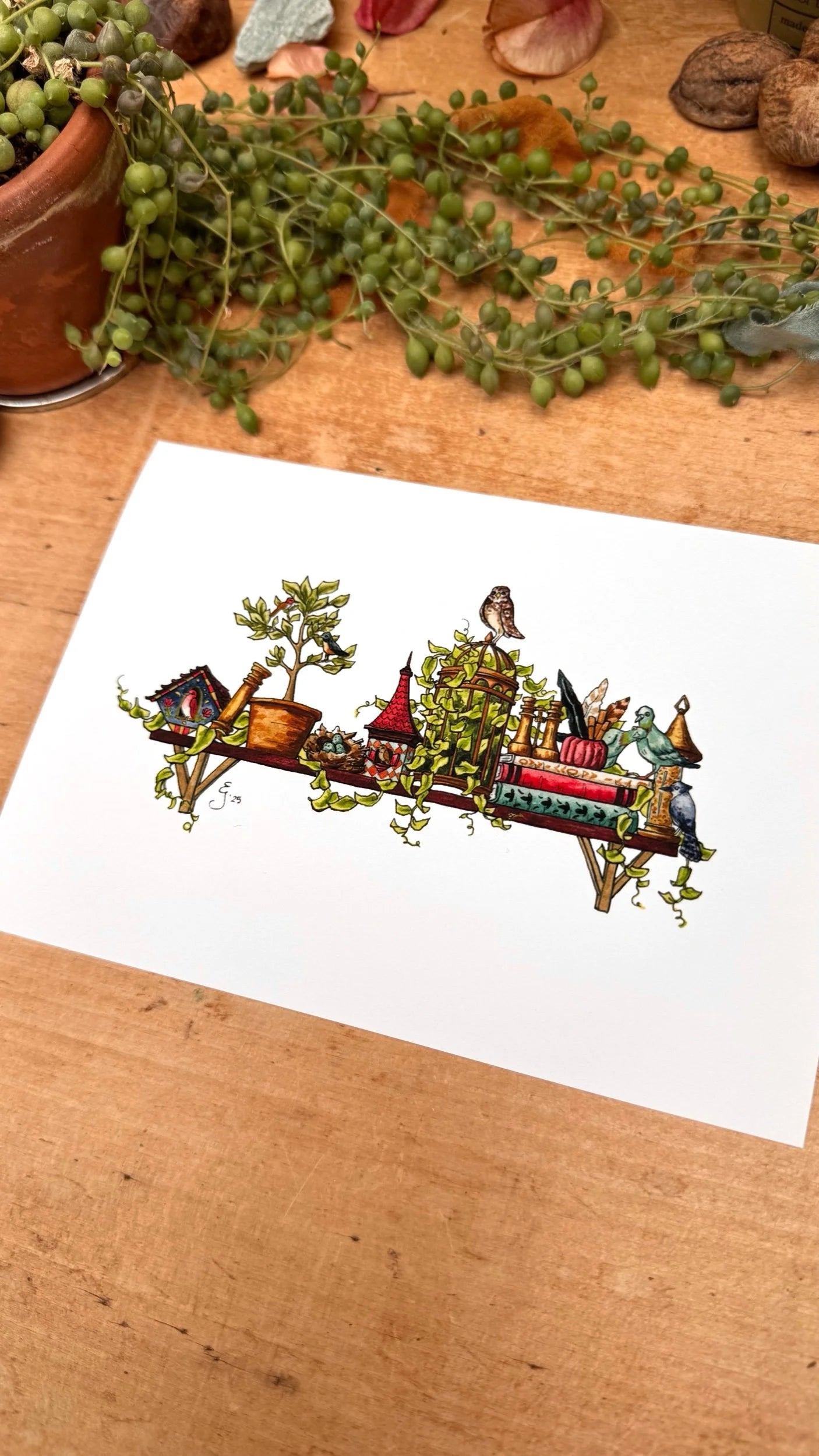 The Mini Ornithologist's Shelf Giclée Print
