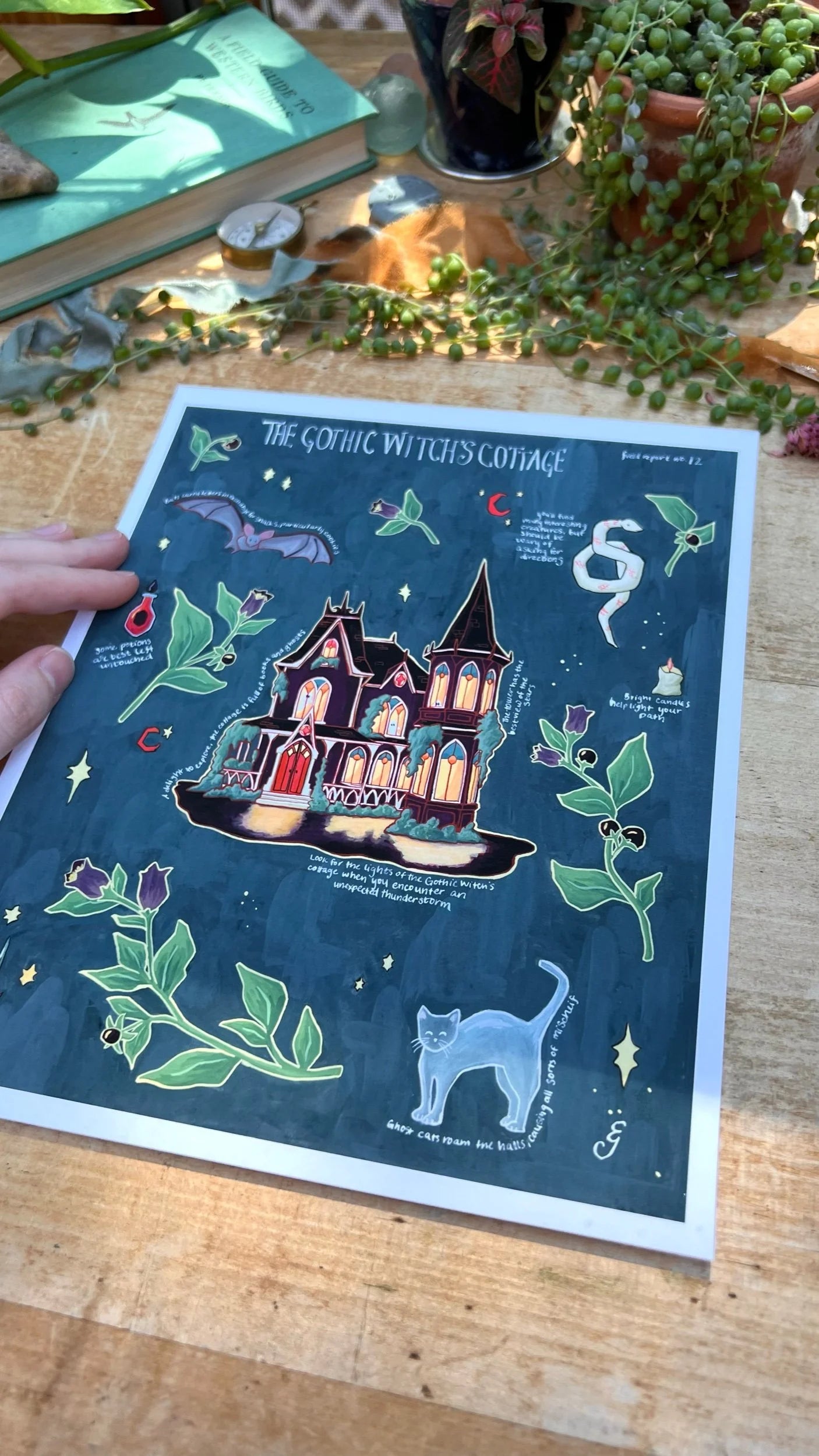 The Gothic Witch's Cottage Field Report Giclée Print