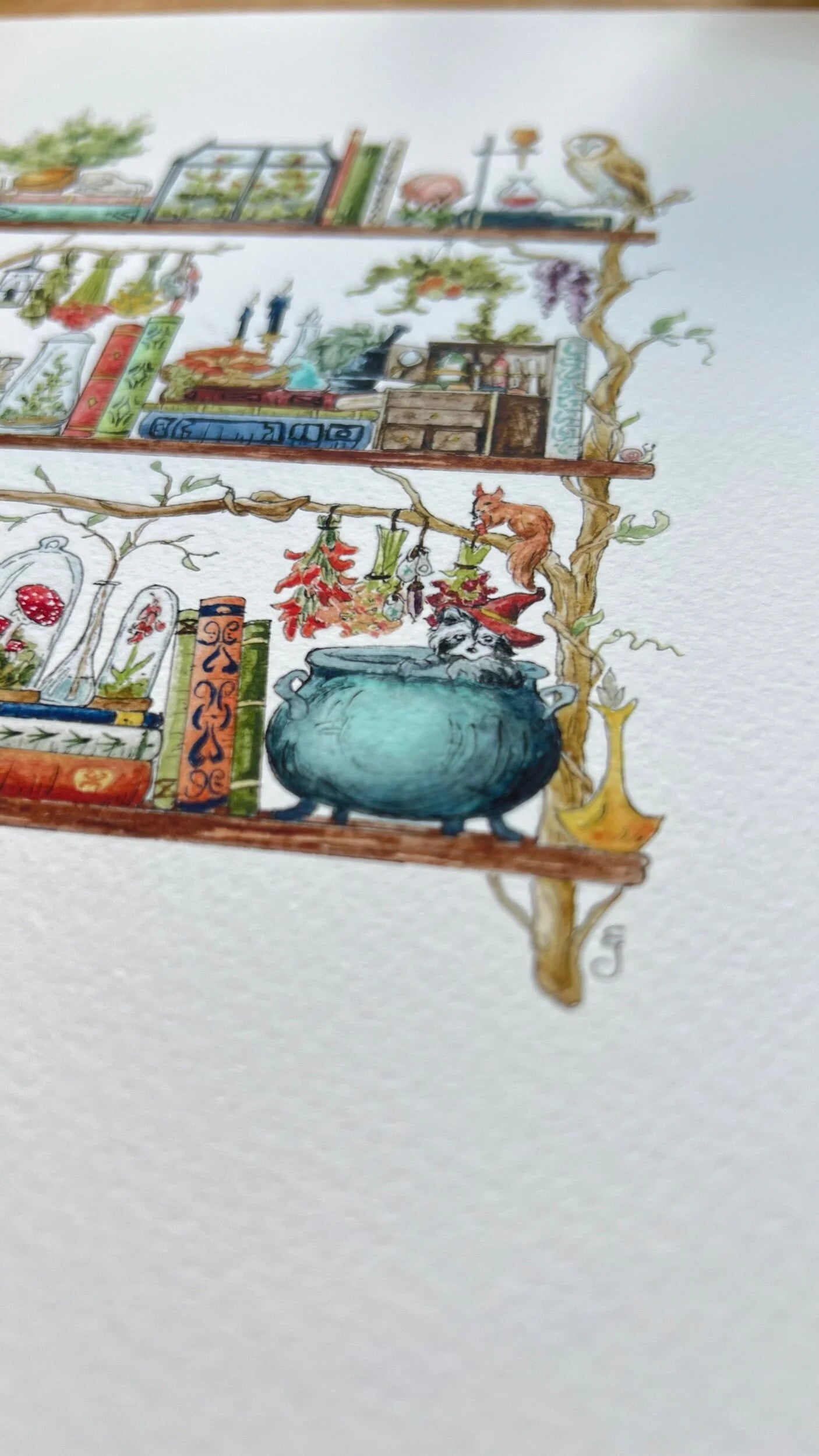 The Forest Witch's Shelves Giclée Print