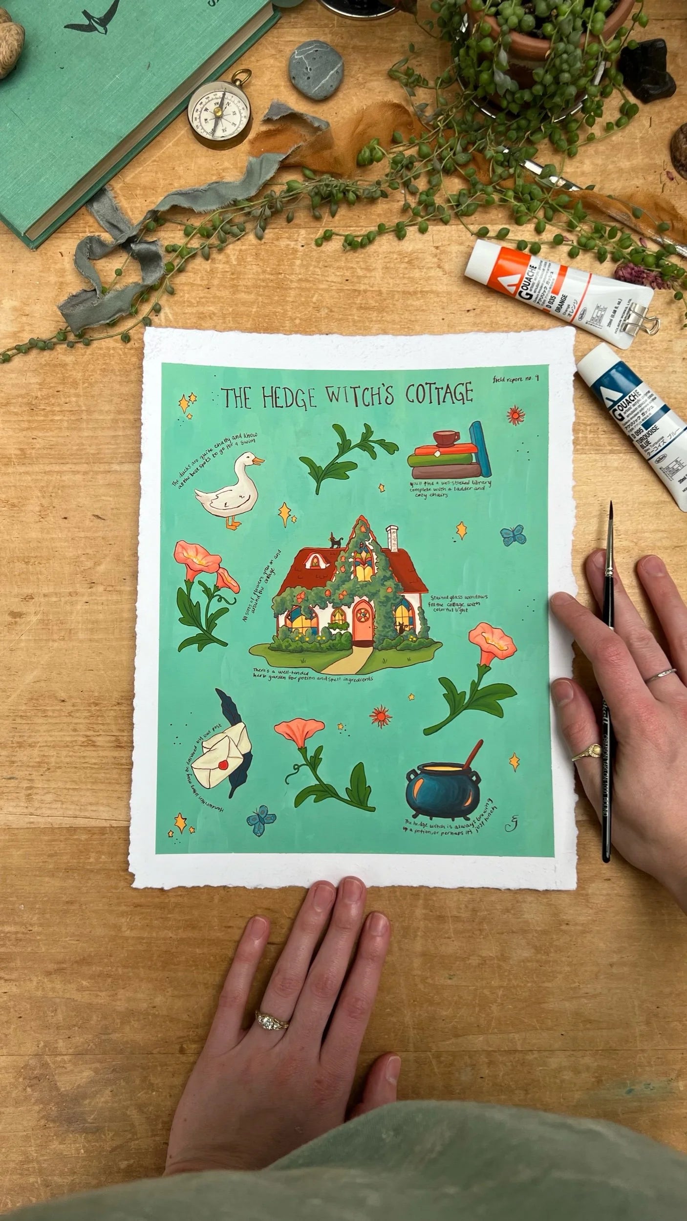 Original Hedge Witch's Cottage Field Report