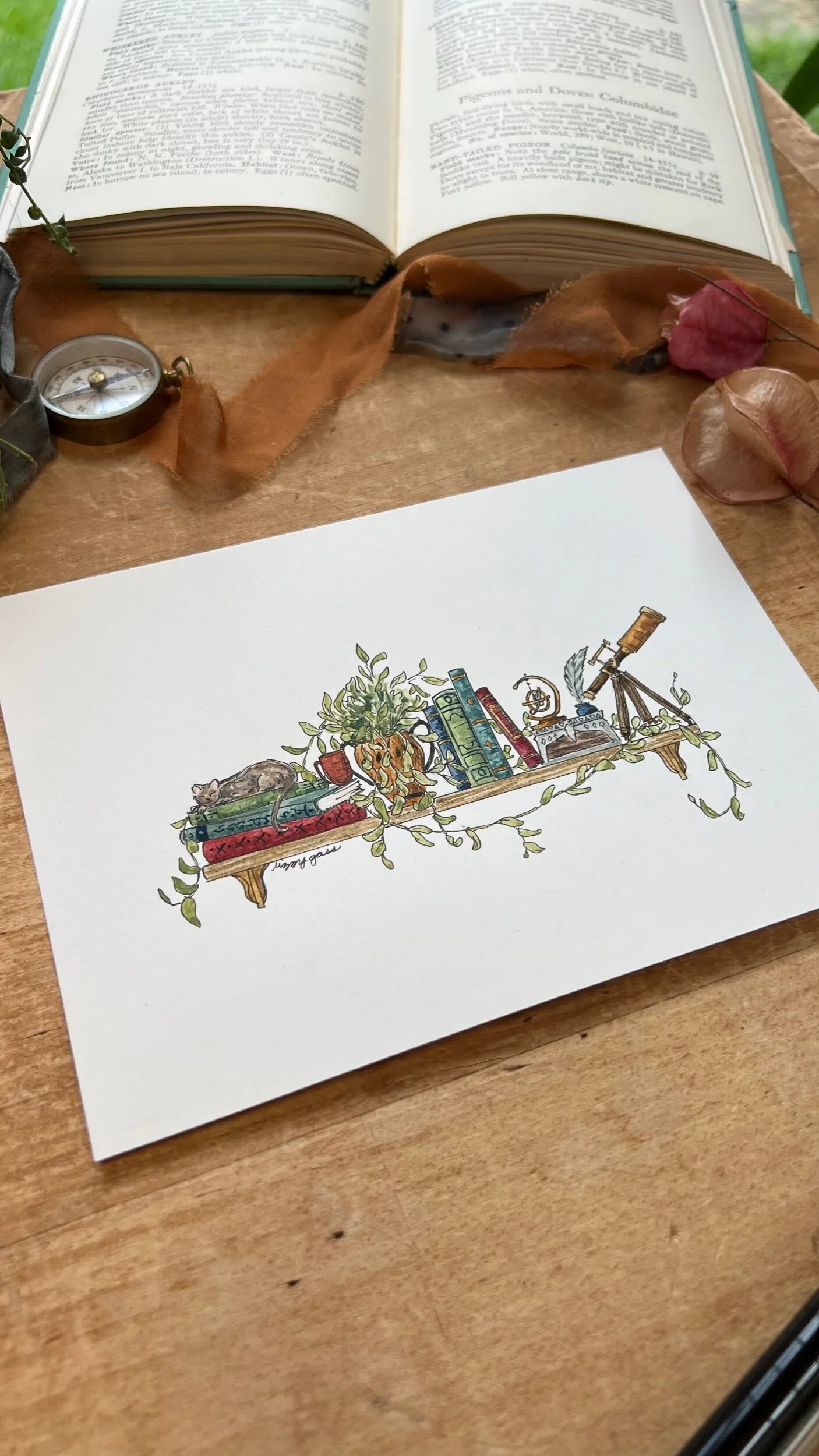 Framed Original Mini Astronomer's Shelf Illustration