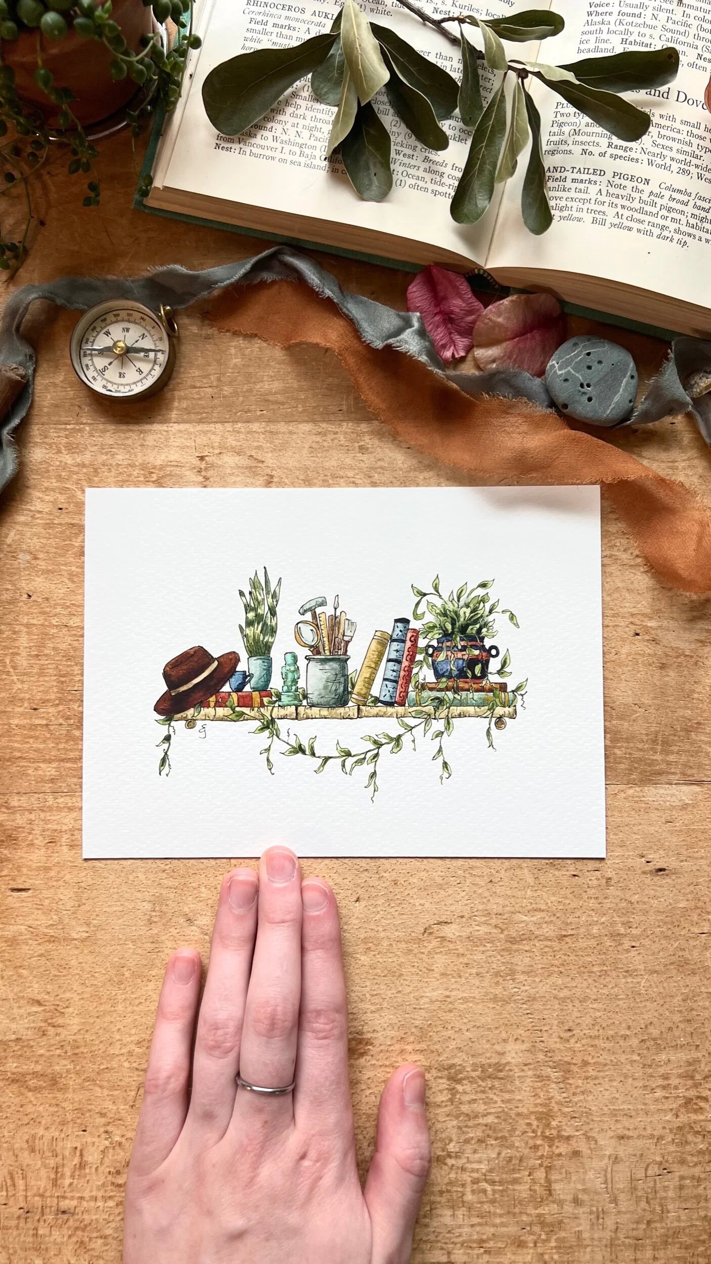 The Mini Archaeologist's Shelf Giclée Print