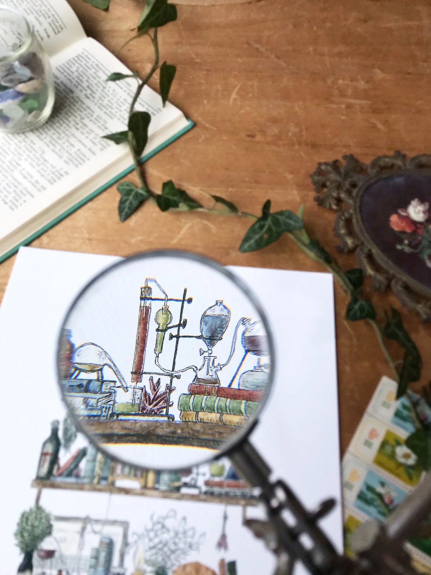 The Chemist's Shelves Giclée Print