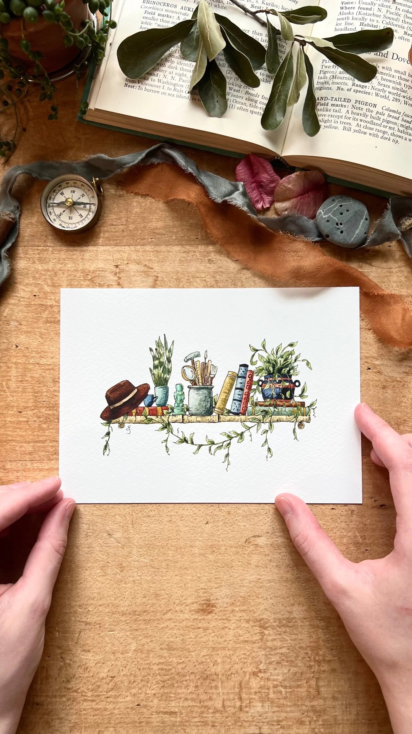 The Mini Archaeologist's Shelf Giclée Print