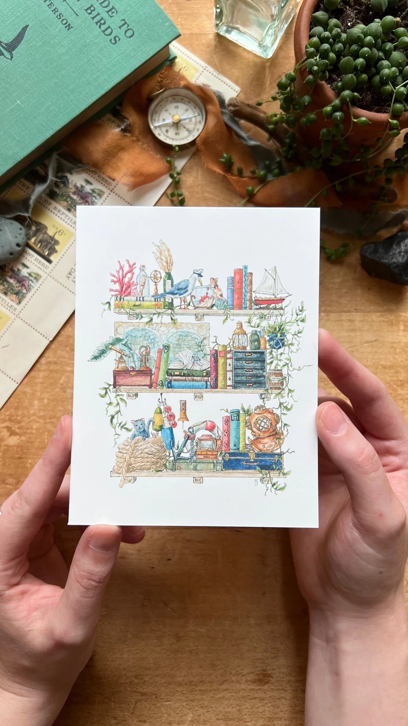 Vol. 3 Natural History Postcard Set
