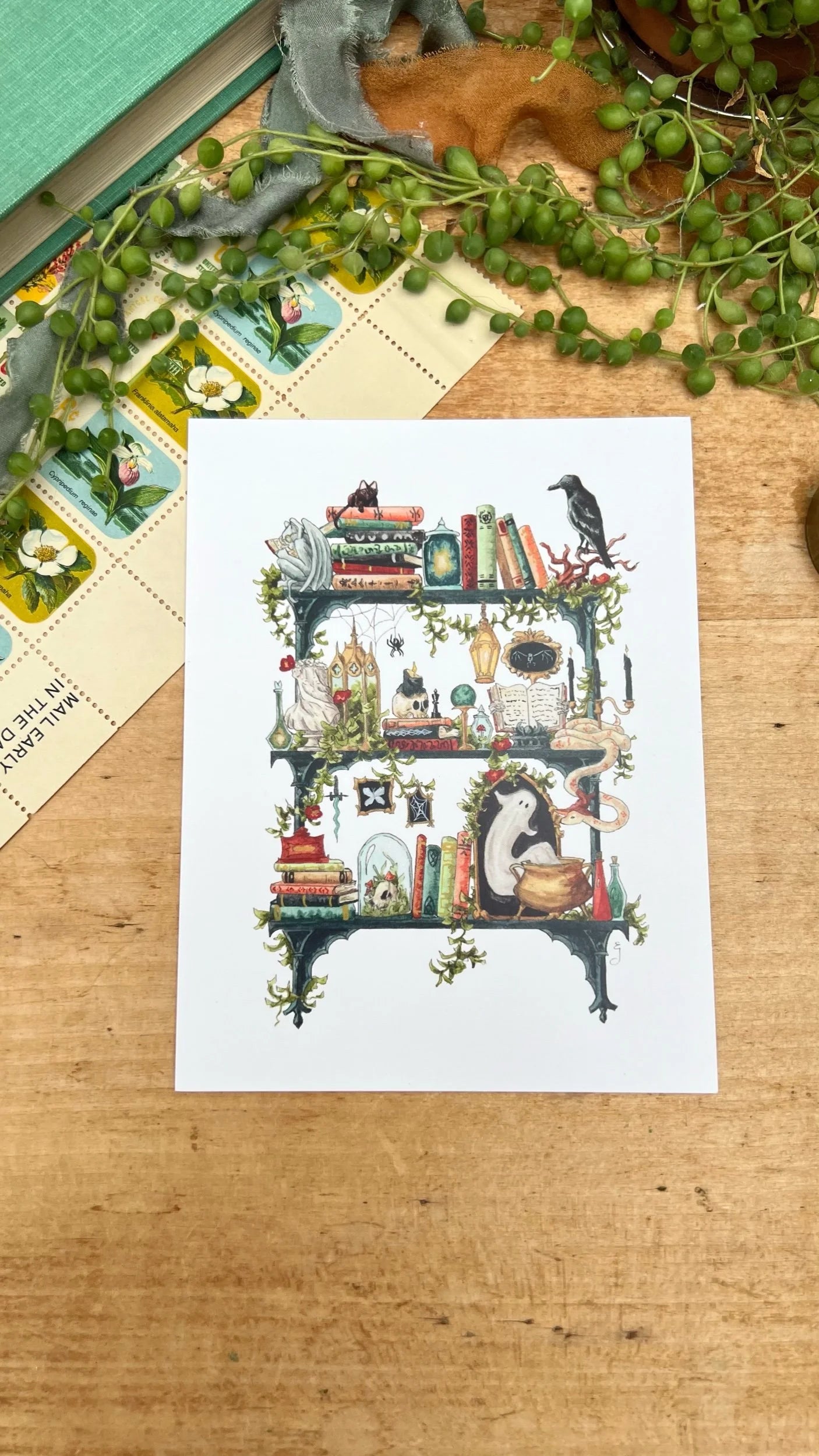 The Gothic Witch's Shelves Postcard