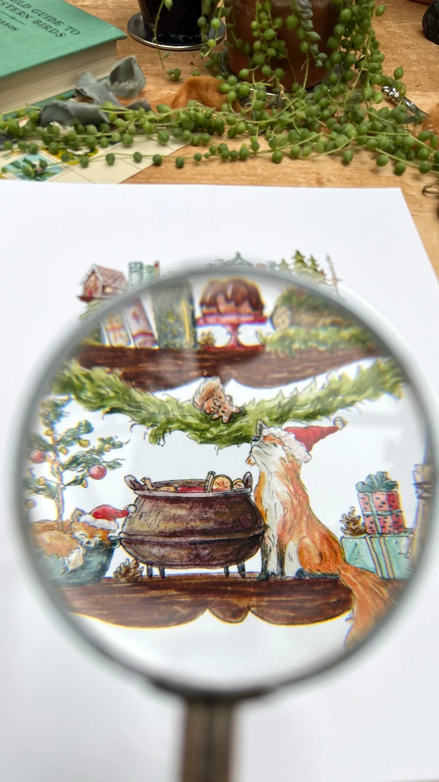 The Christmas Witch's Shelves Giclée Print