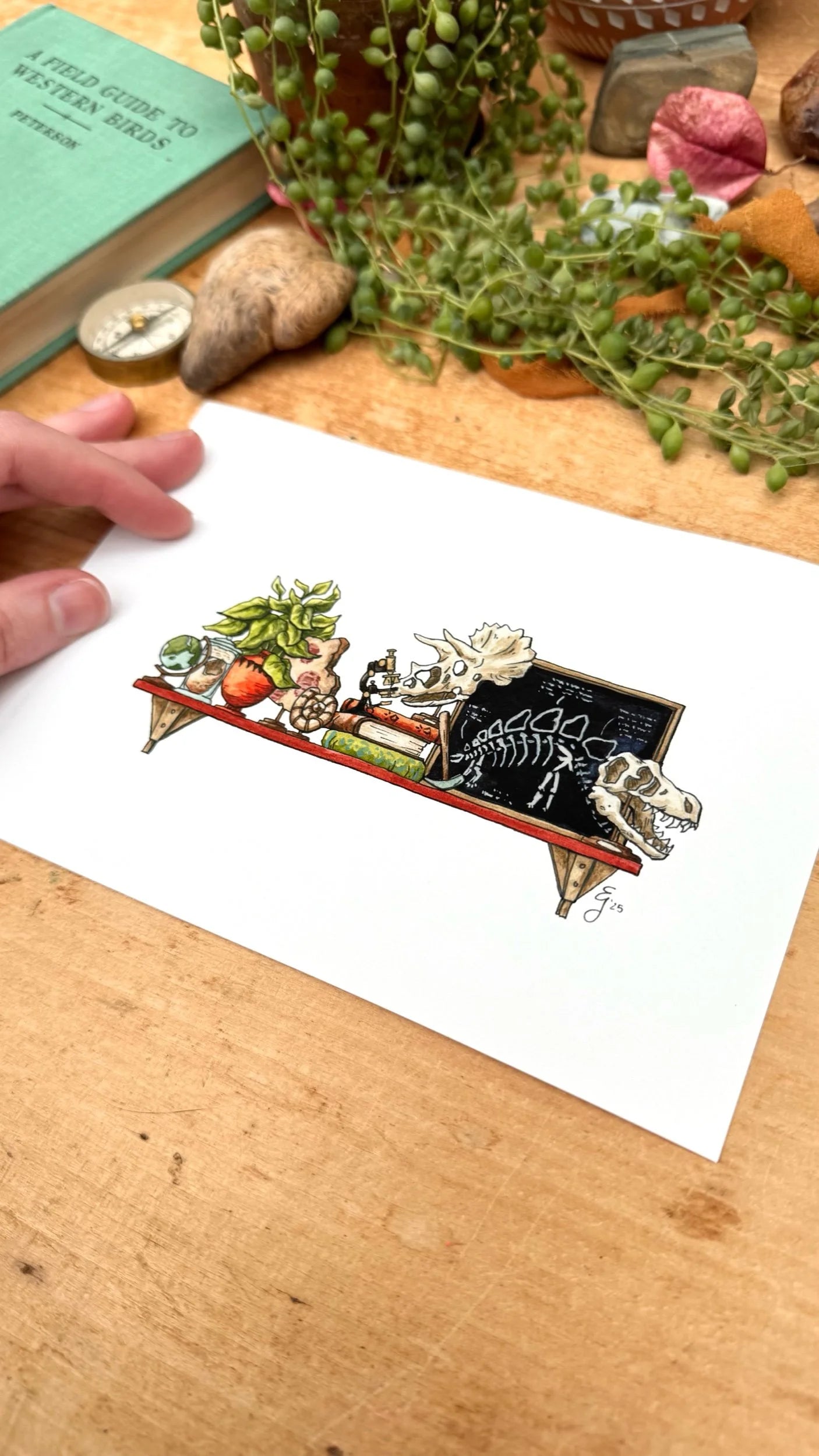 The Mini Paleontologist's Shelf Giclée Print