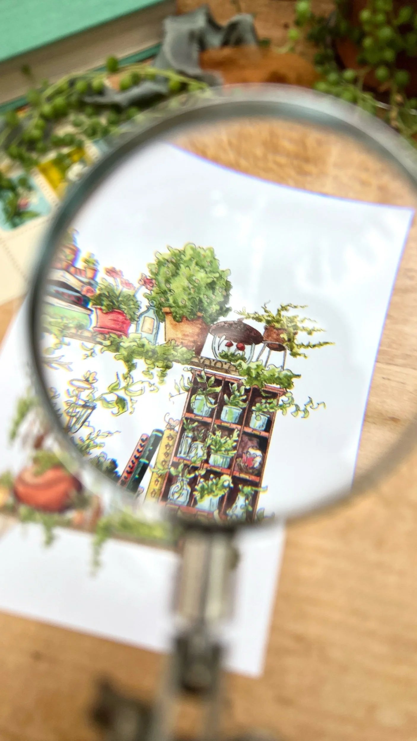The Garden Witch's Shelves Postcard