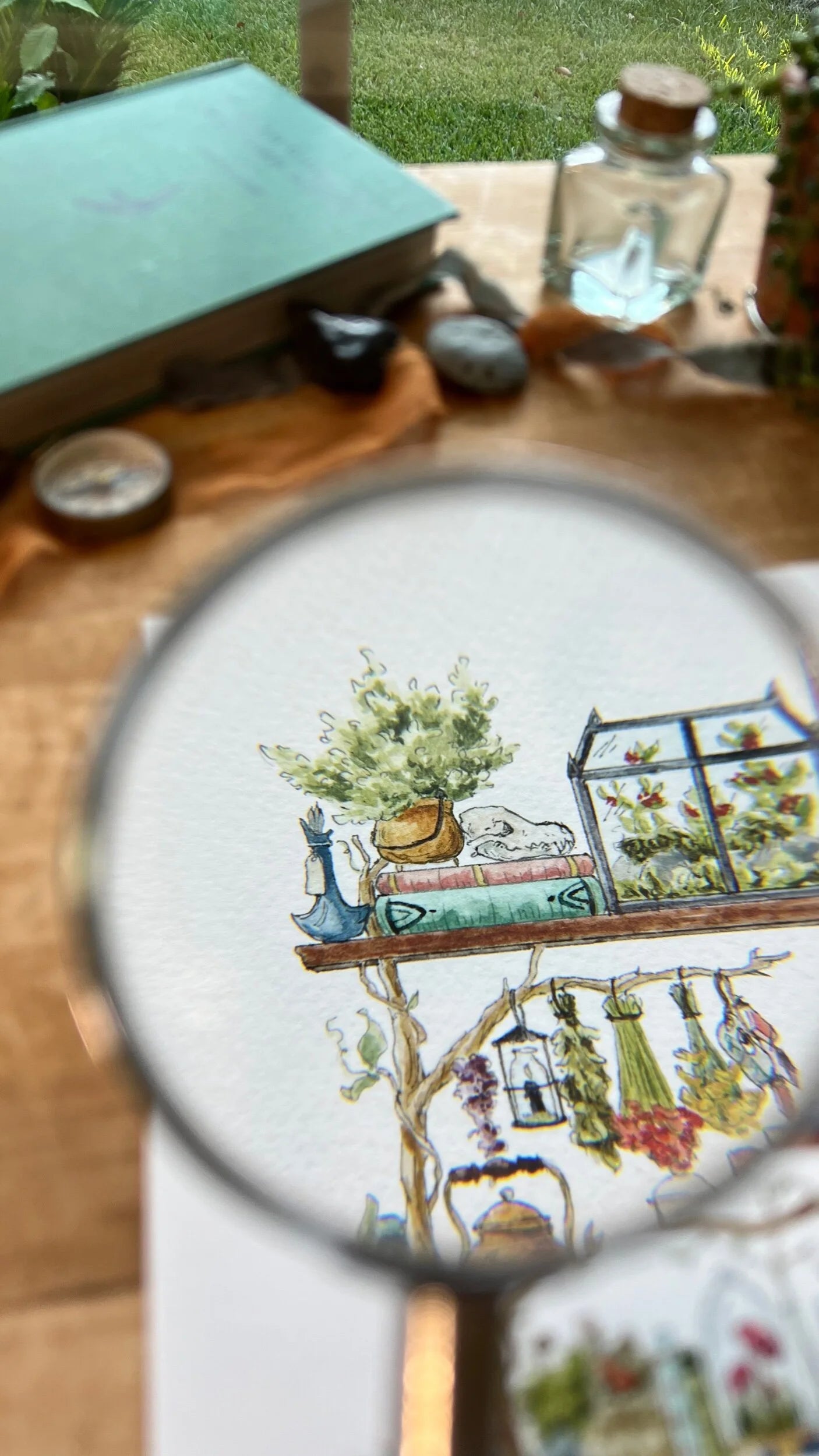 The Forest Witch's Shelves Giclée Print