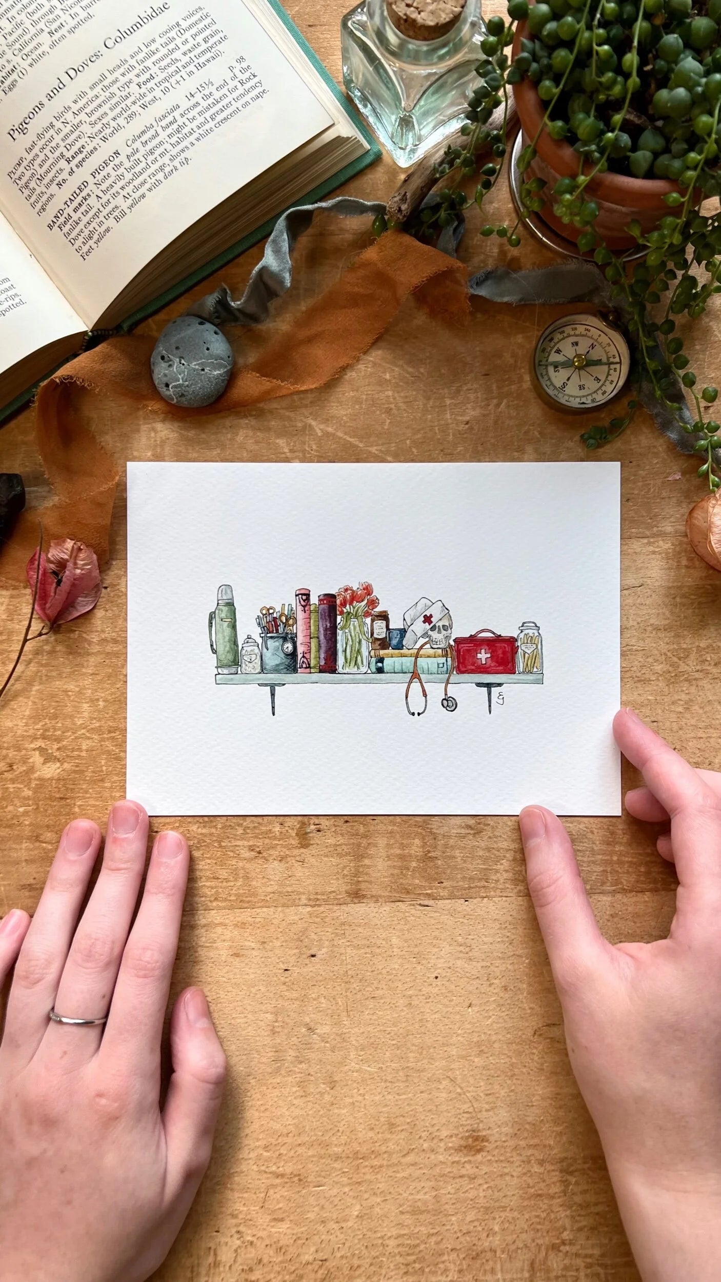 The Mini Nurse's Shelf Giclée Print