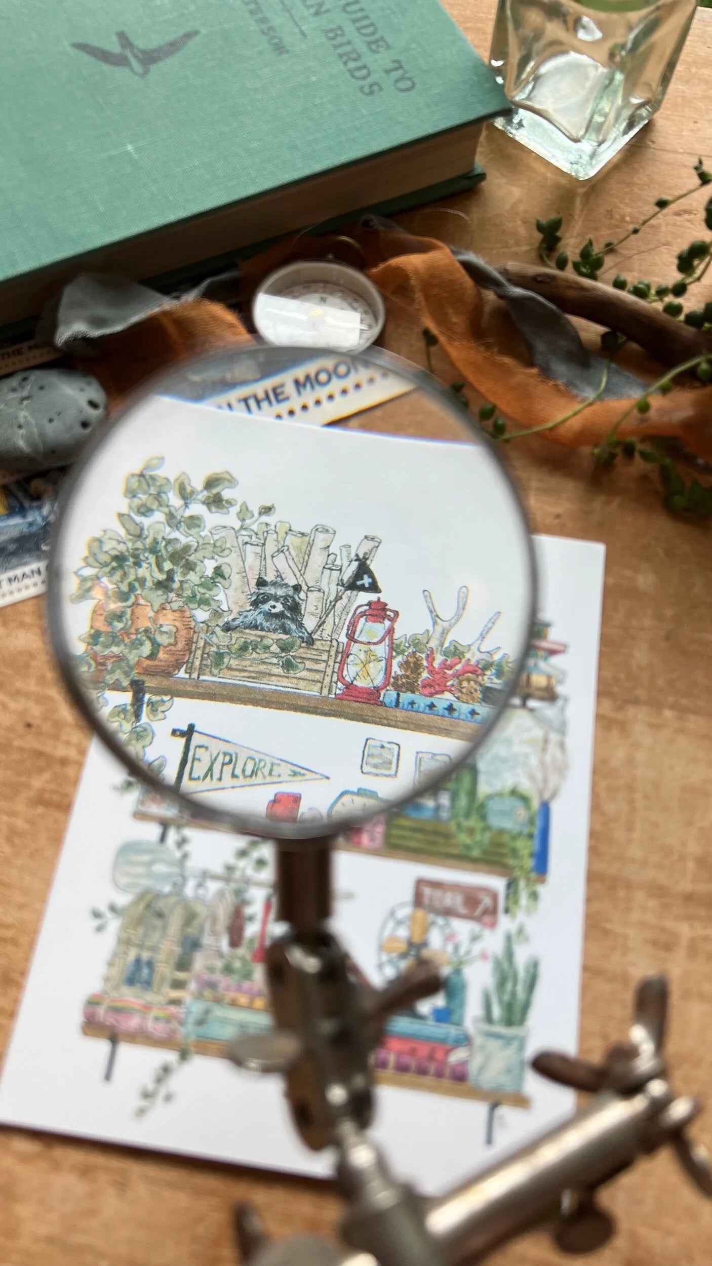 The Park Ranger's Shelves Postcard
