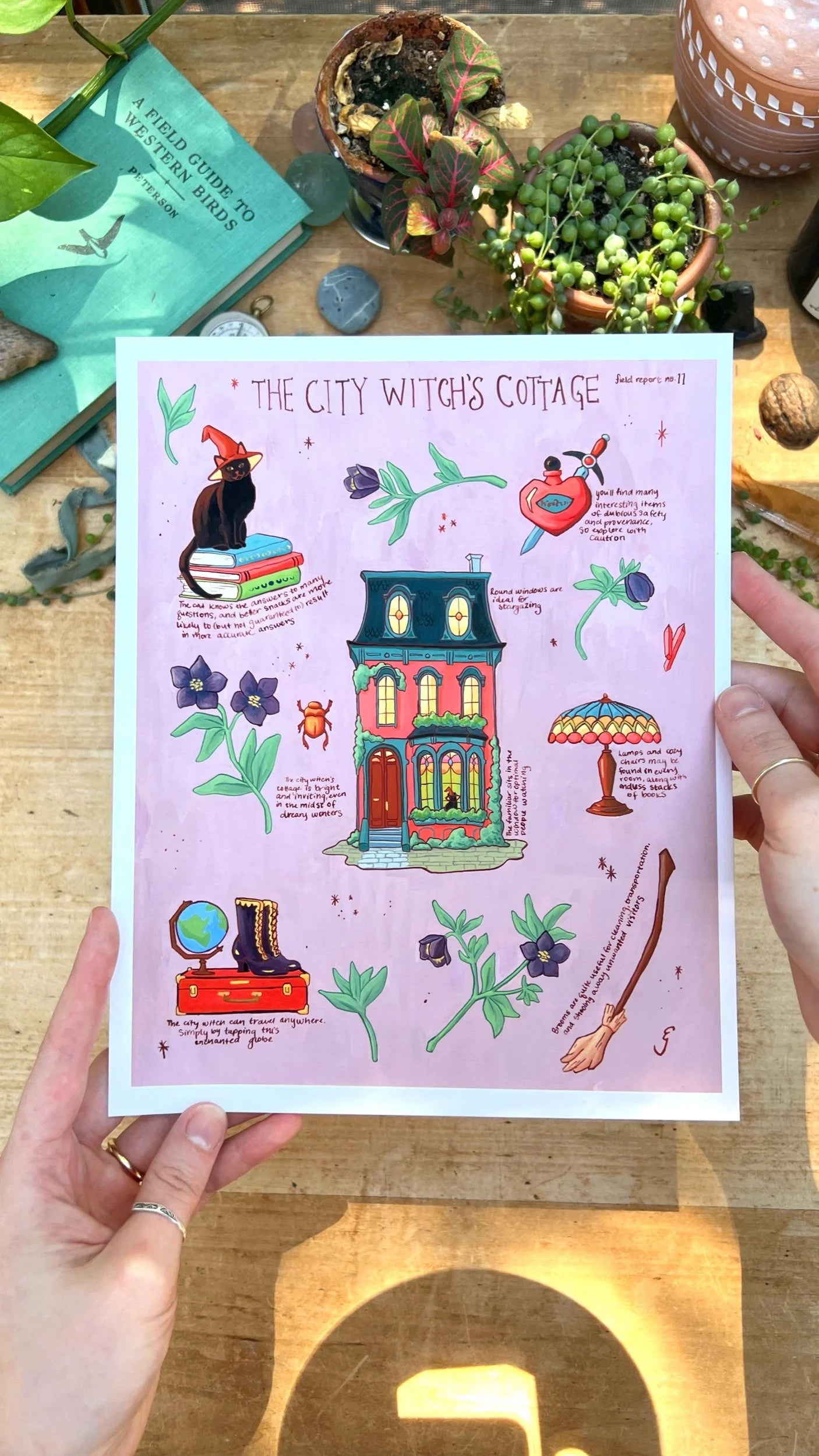 The City Witch's Cottage Field Report Giclée Print