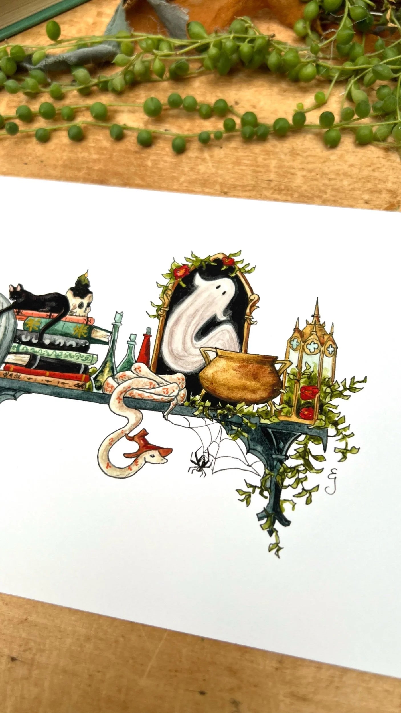 The Mini Gothic Witch's Shelf Giclée Print