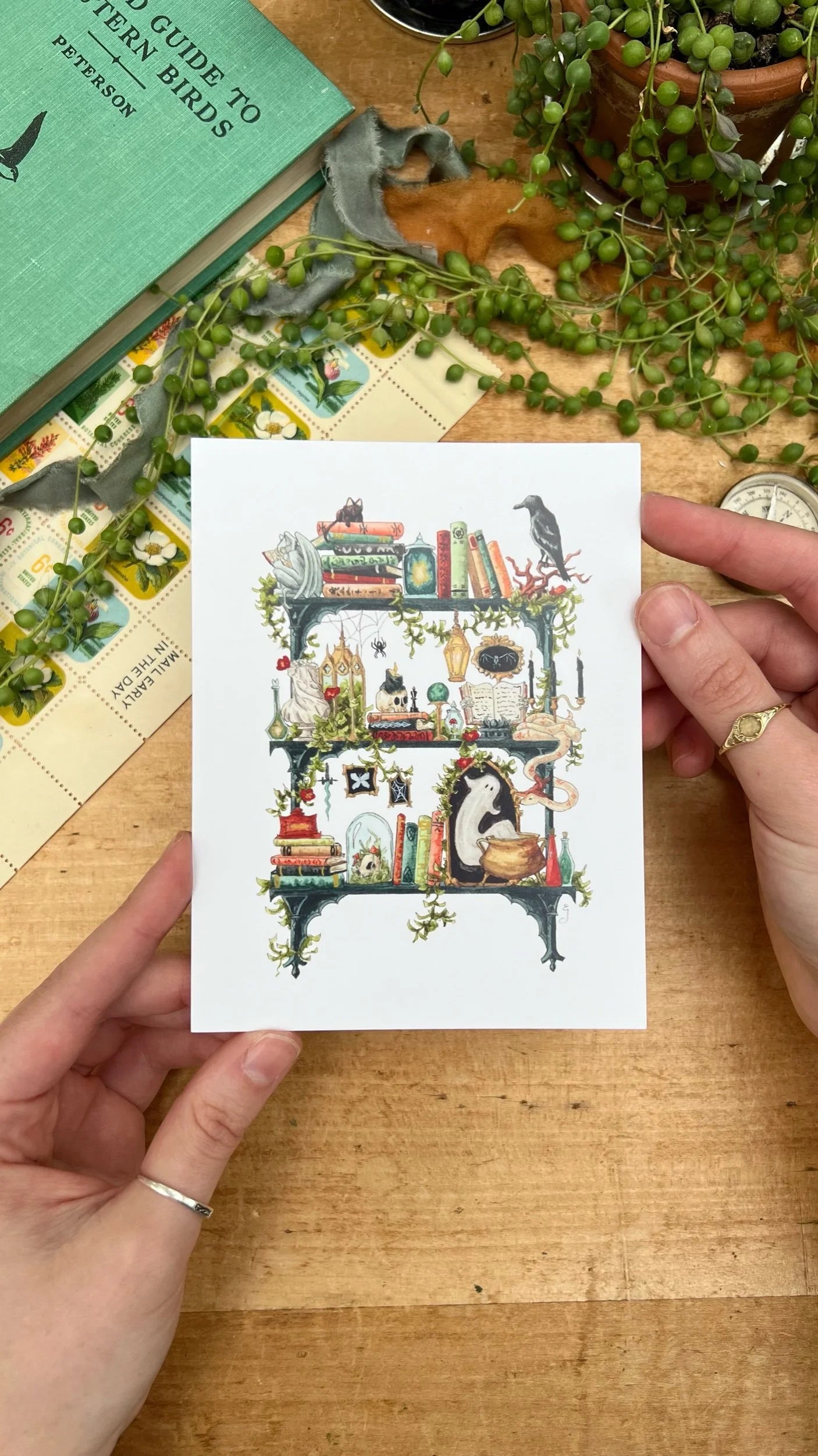 Witches Postcards Vol. 3