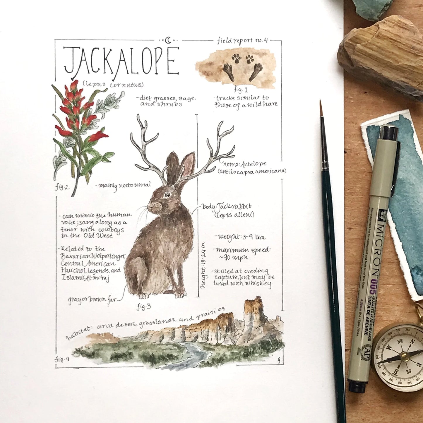 Jackalope Field Report Giclée Print